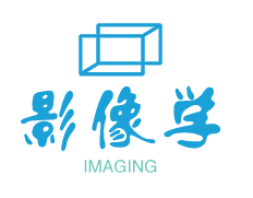 影像学Imagelogy