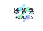 啮齿类Rodents