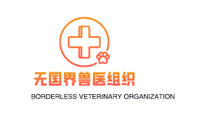 国际课程International Course