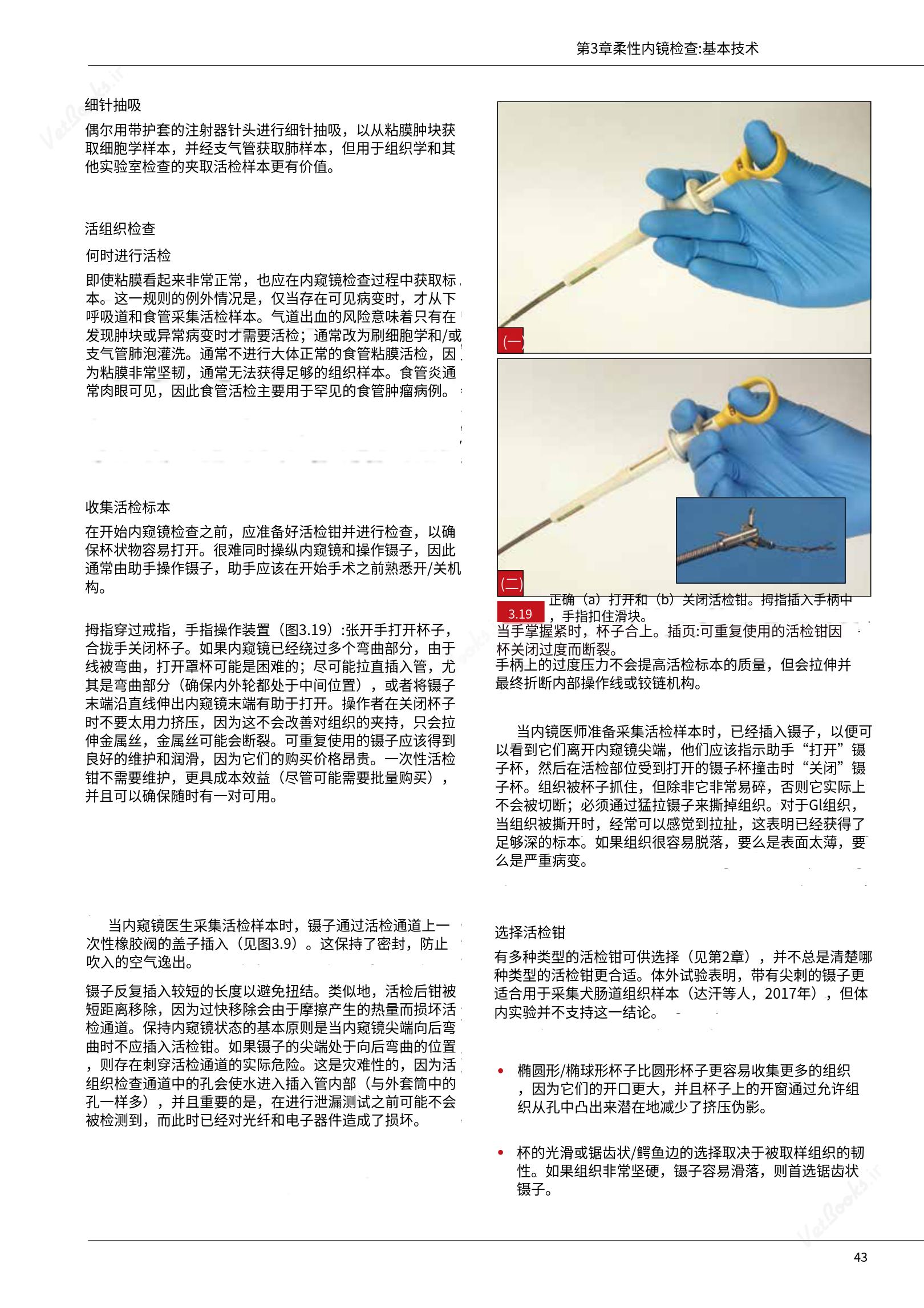 translated.39cc28bee0fb4fc48901cf3be399aa6b_49.png