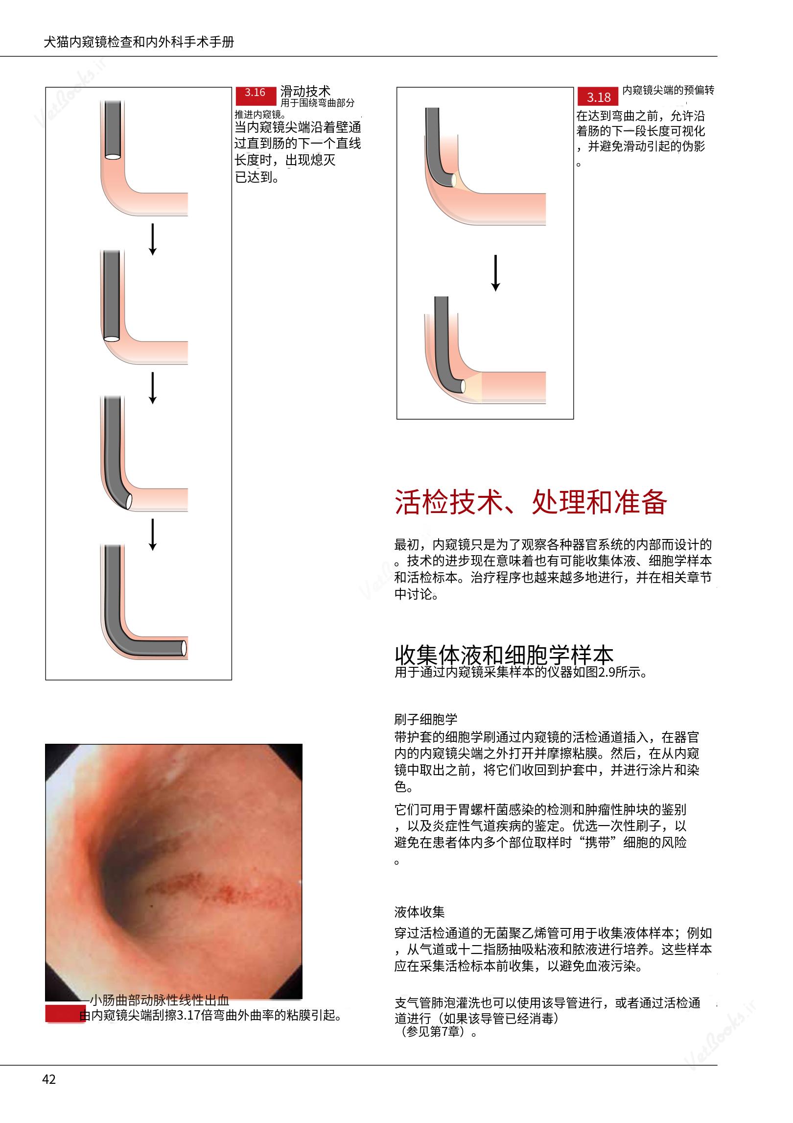 translated.39cc28bee0fb4fc48901cf3be399aa6b_48.png