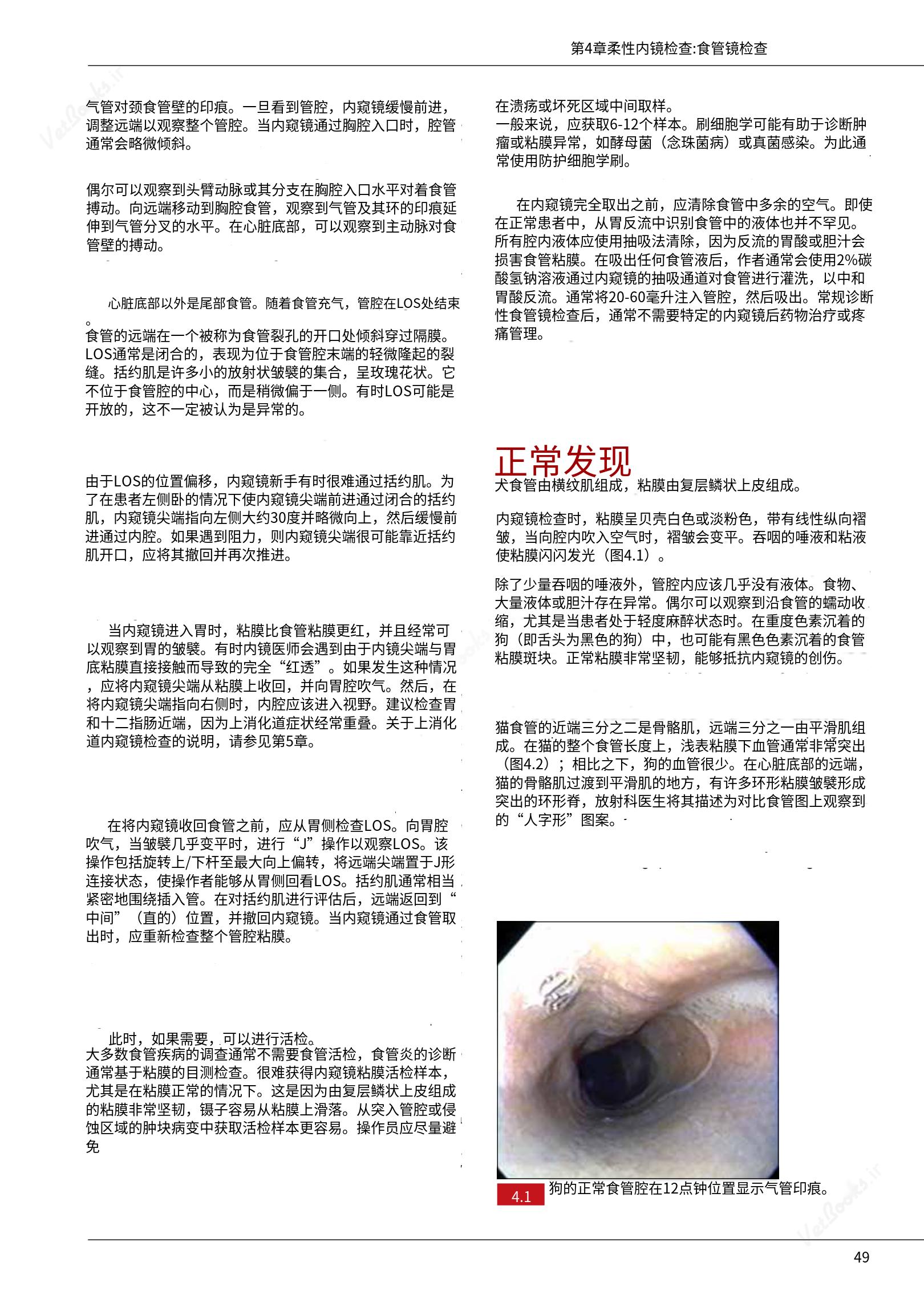 translated.39cc28bee0fb4fc48901cf3be399aa6b_55.png