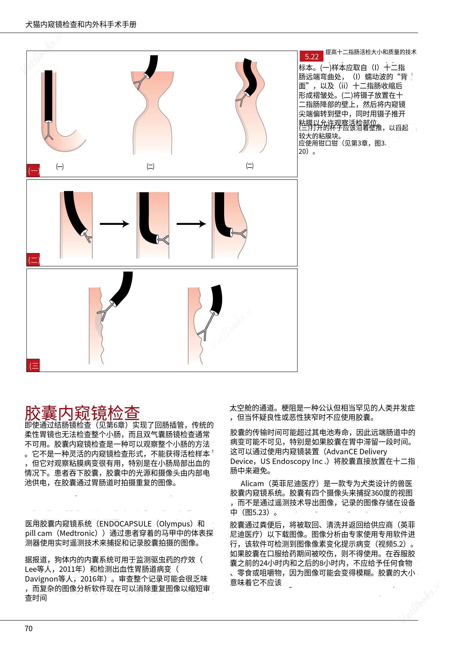 translated.39cc28bee0fb4fc48901cf3be399aa6b_76.png