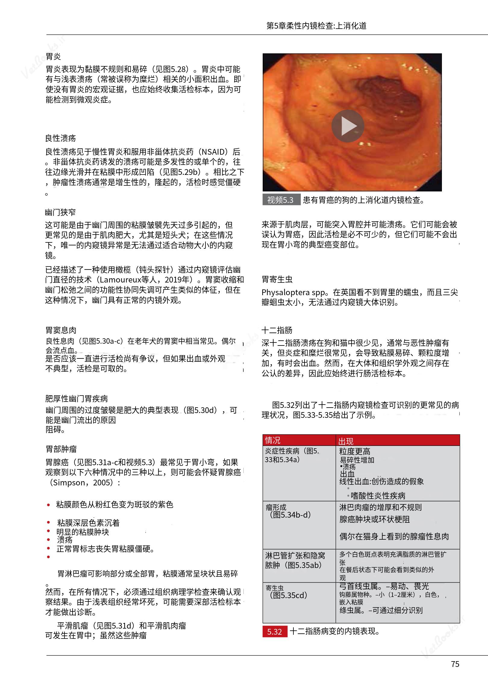 translated.39cc28bee0fb4fc48901cf3be399aa6b_81.png