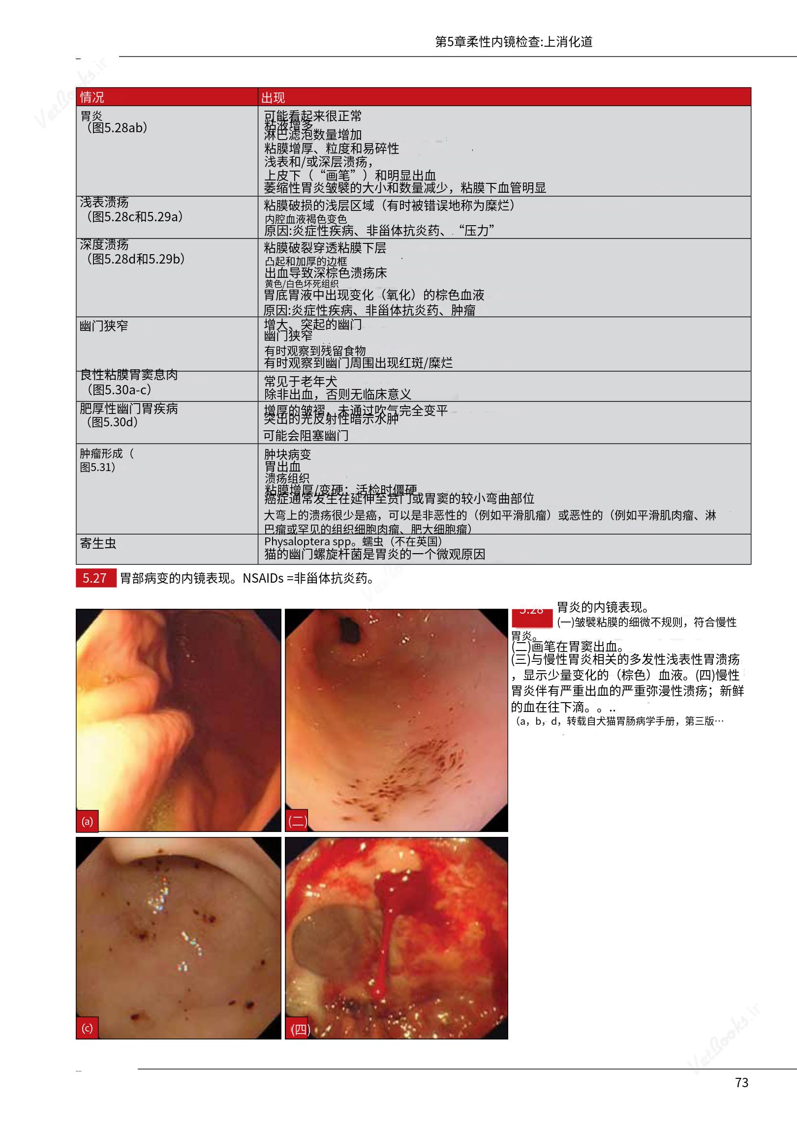 translated.39cc28bee0fb4fc48901cf3be399aa6b_79.png