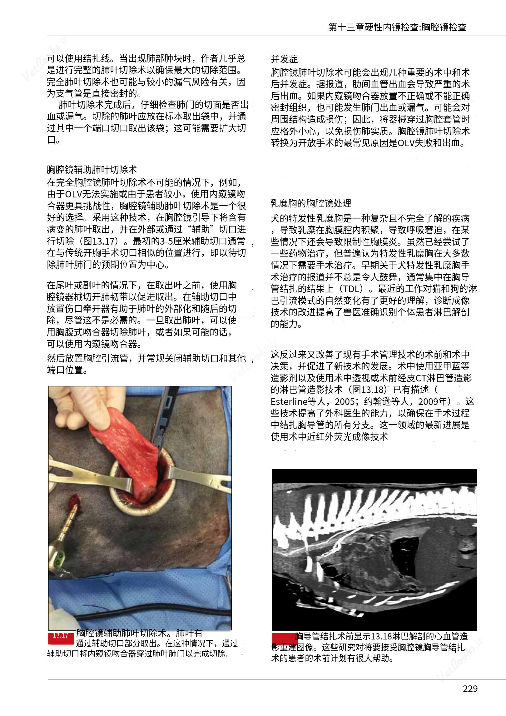 translated.39cc28bee0fb4fc48901cf3be399aa6b_235.png