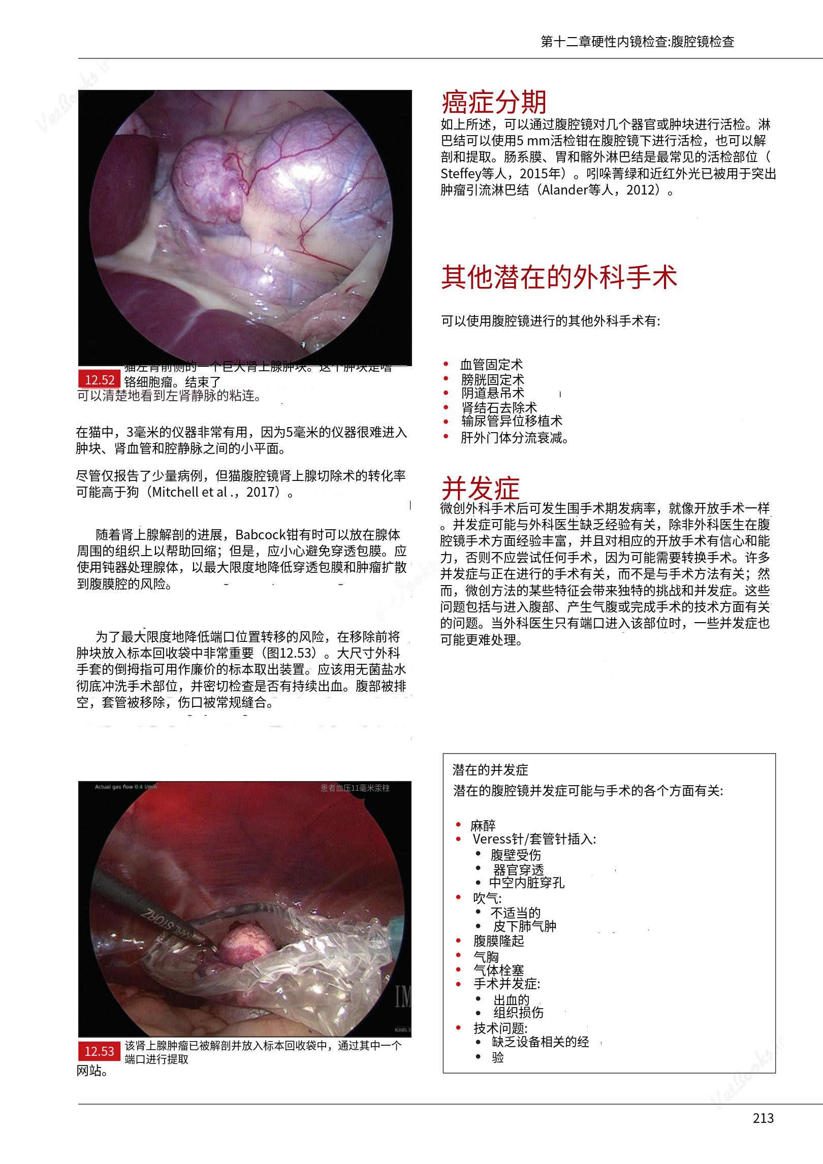 translated.39cc28bee0fb4fc48901cf3be399aa6b_219.png