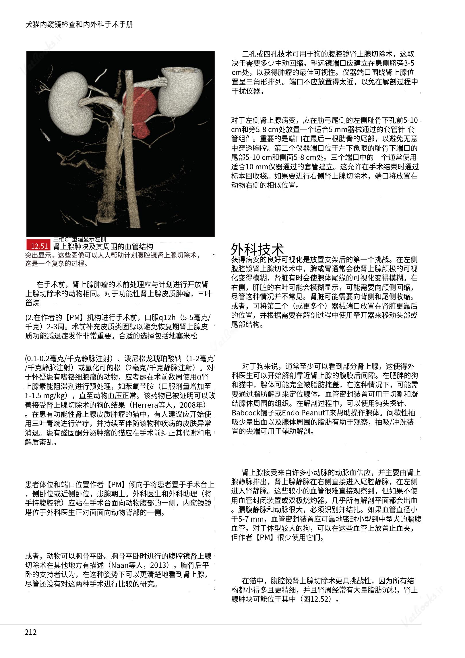 translated.39cc28bee0fb4fc48901cf3be399aa6b_218.png
