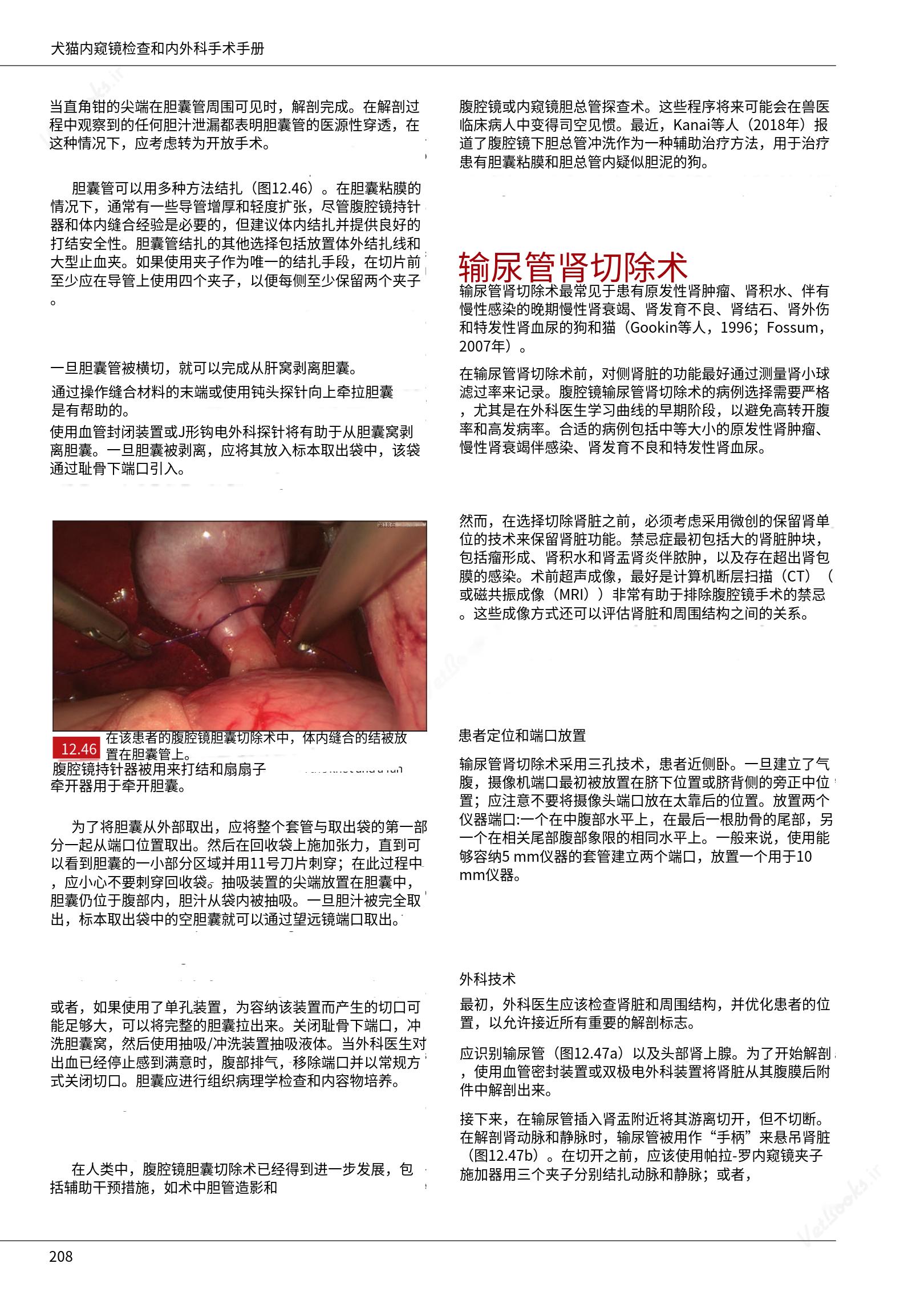 translated.39cc28bee0fb4fc48901cf3be399aa6b_214.png