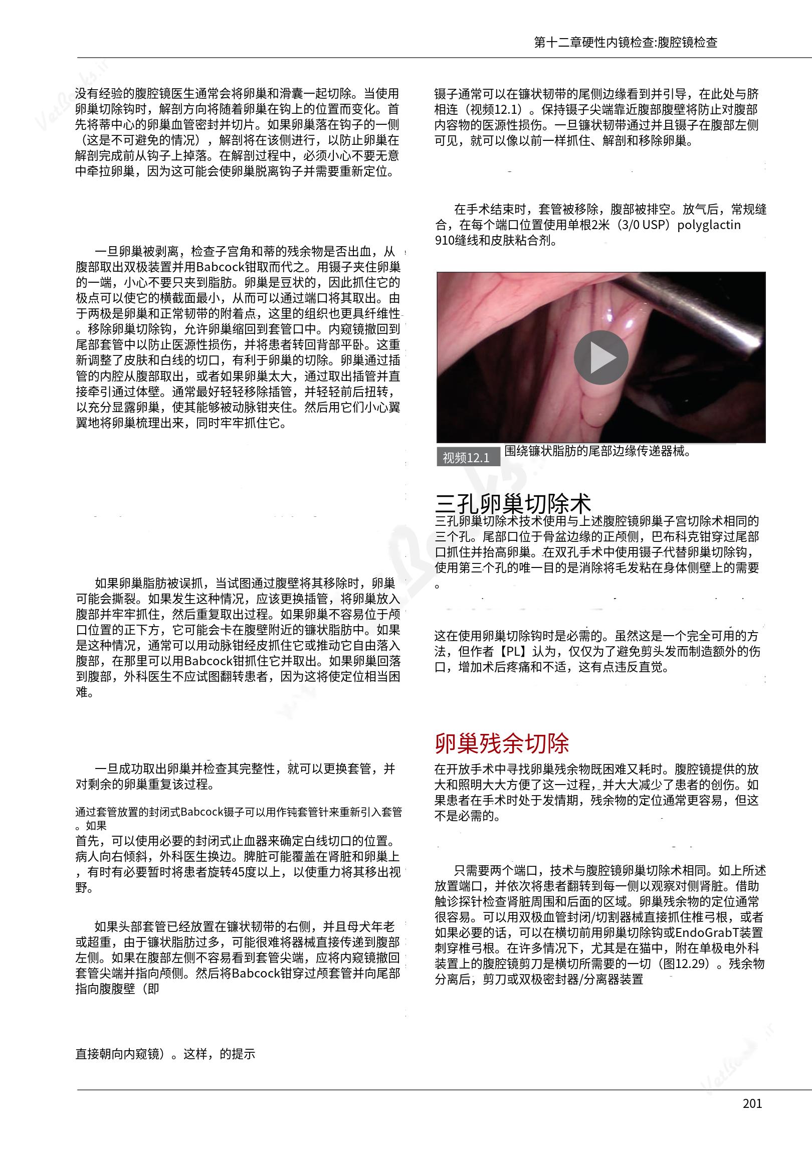 translated.39cc28bee0fb4fc48901cf3be399aa6b_207.png