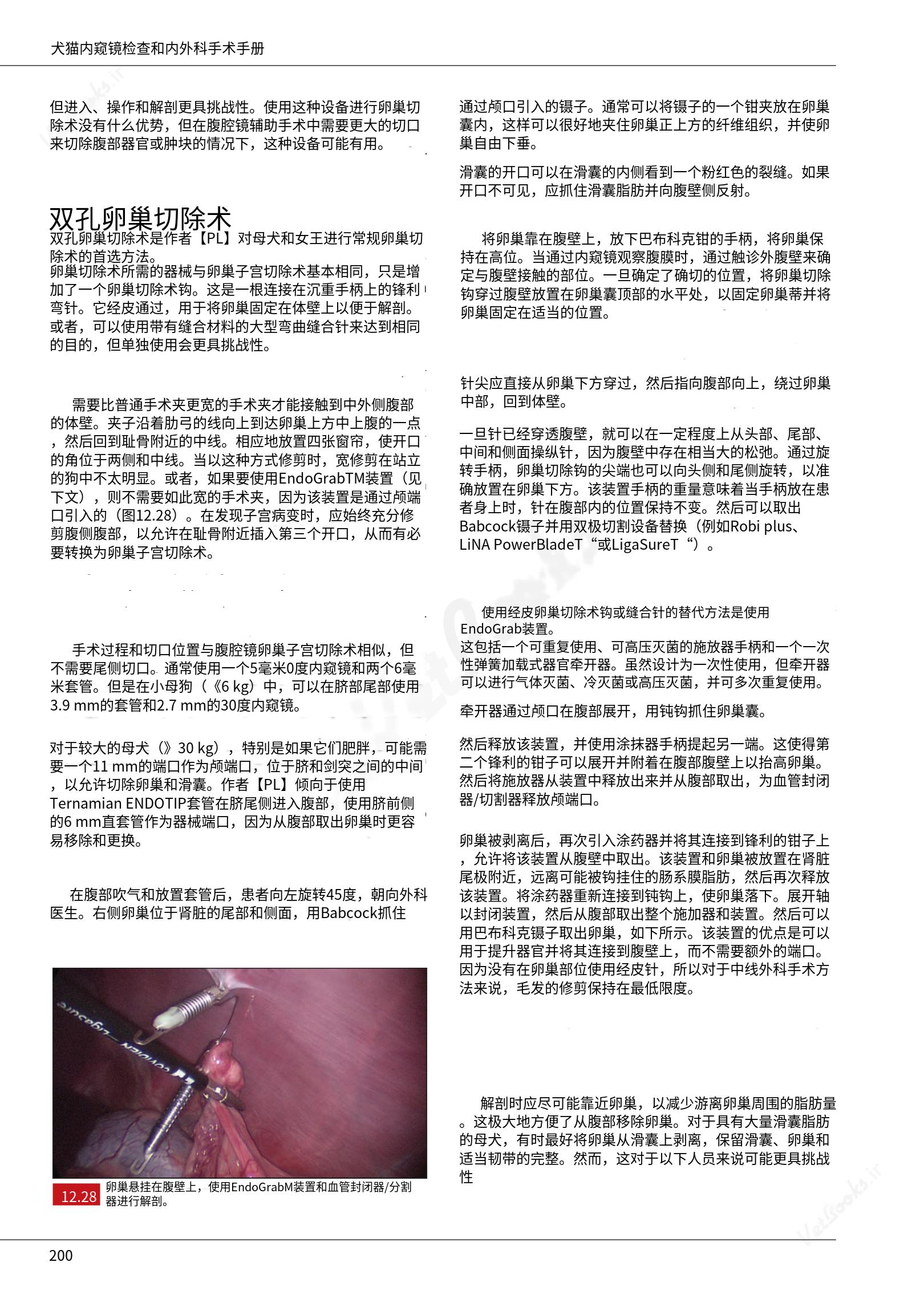 translated.39cc28bee0fb4fc48901cf3be399aa6b_206.png
