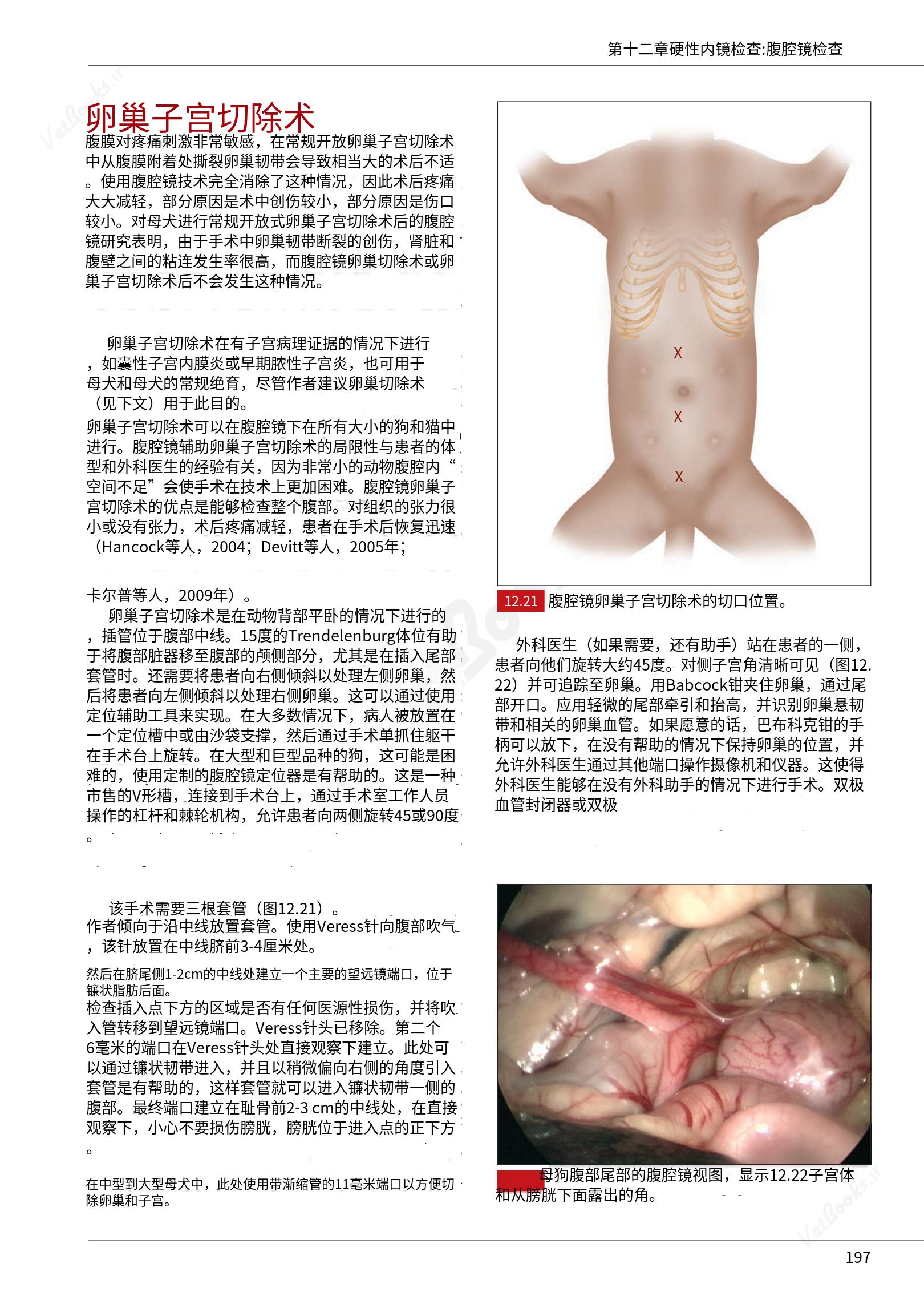 translated.39cc28bee0fb4fc48901cf3be399aa6b_203.png