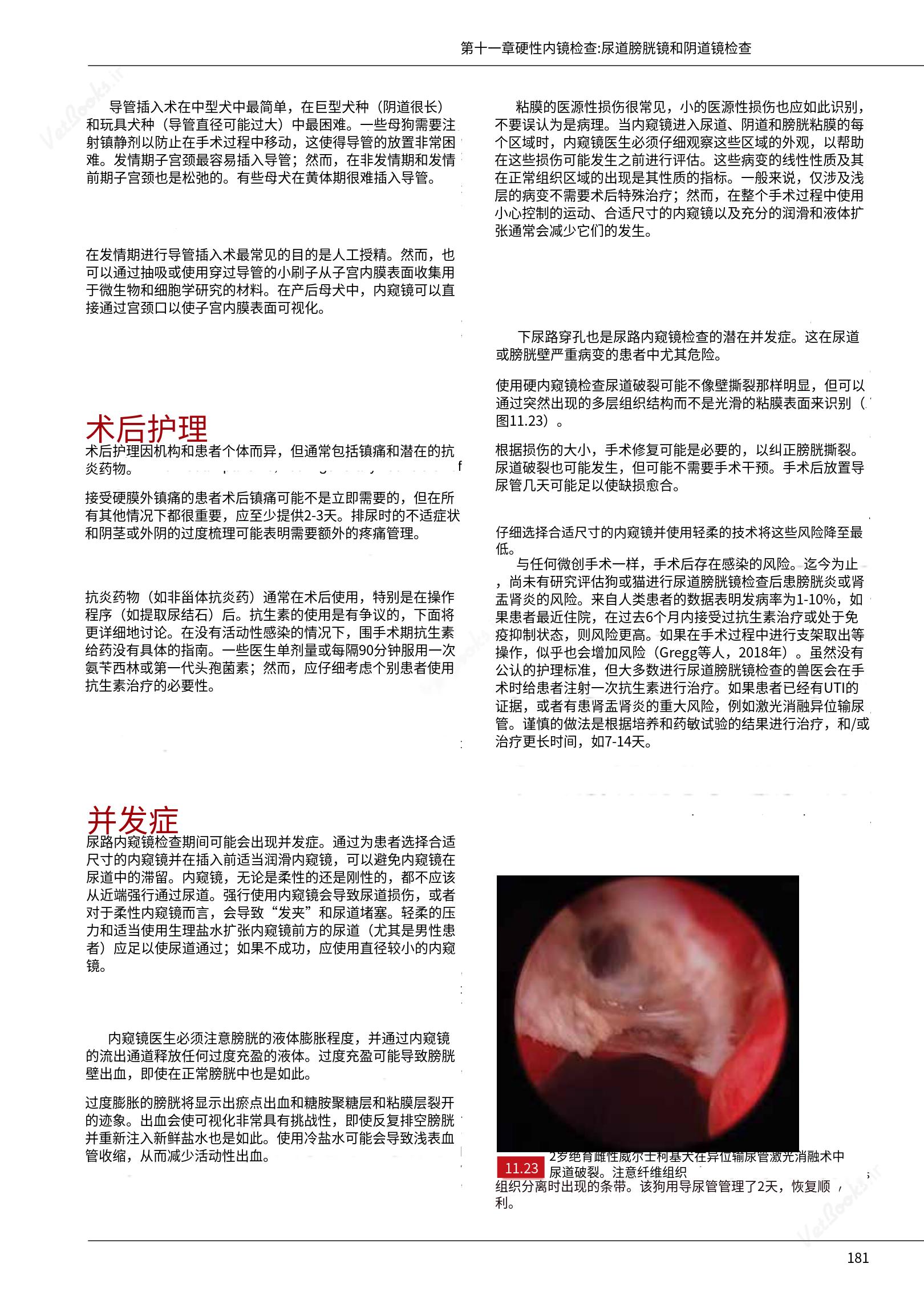 translated.39cc28bee0fb4fc48901cf3be399aa6b_187.png