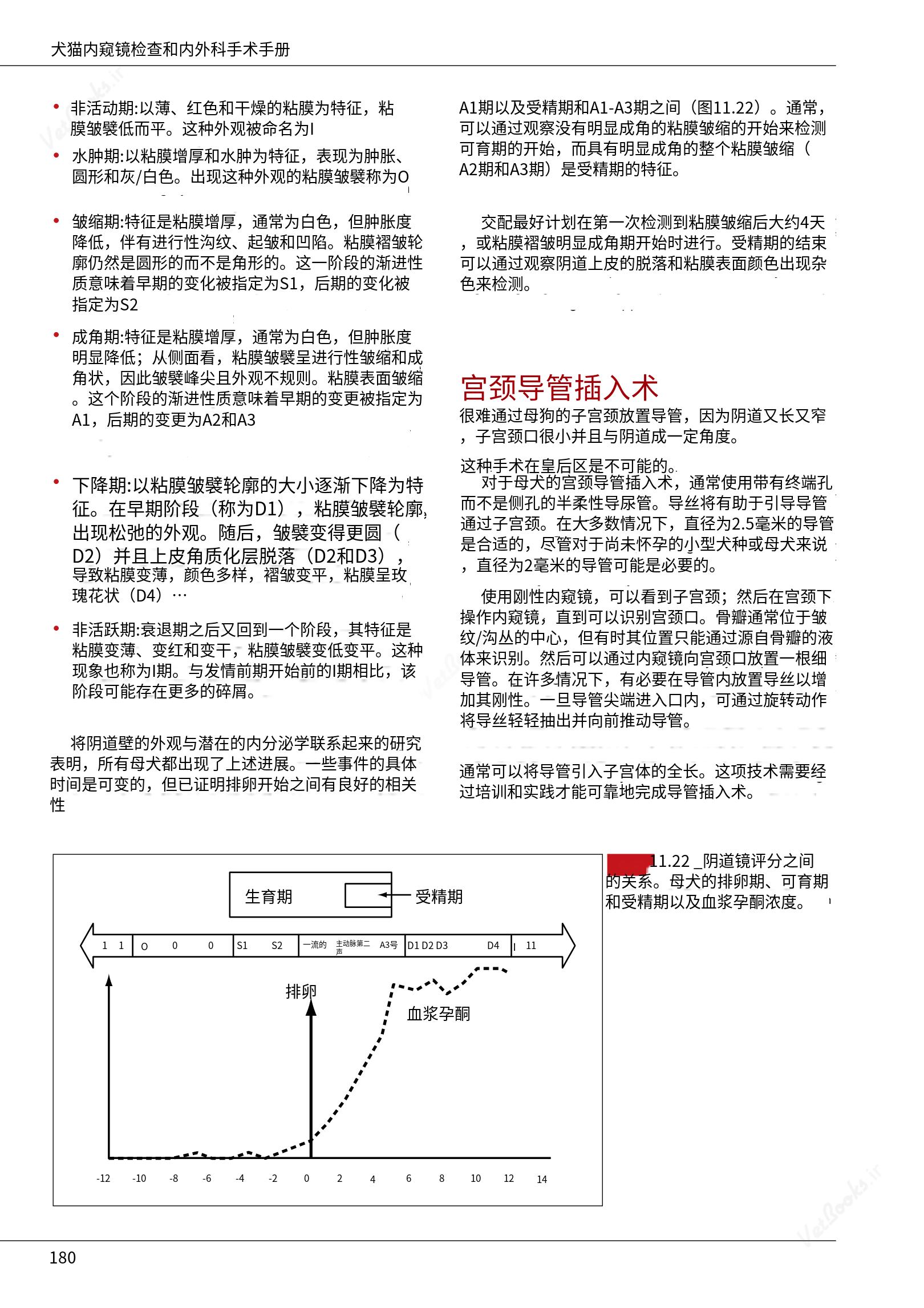translated.39cc28bee0fb4fc48901cf3be399aa6b_186.png
