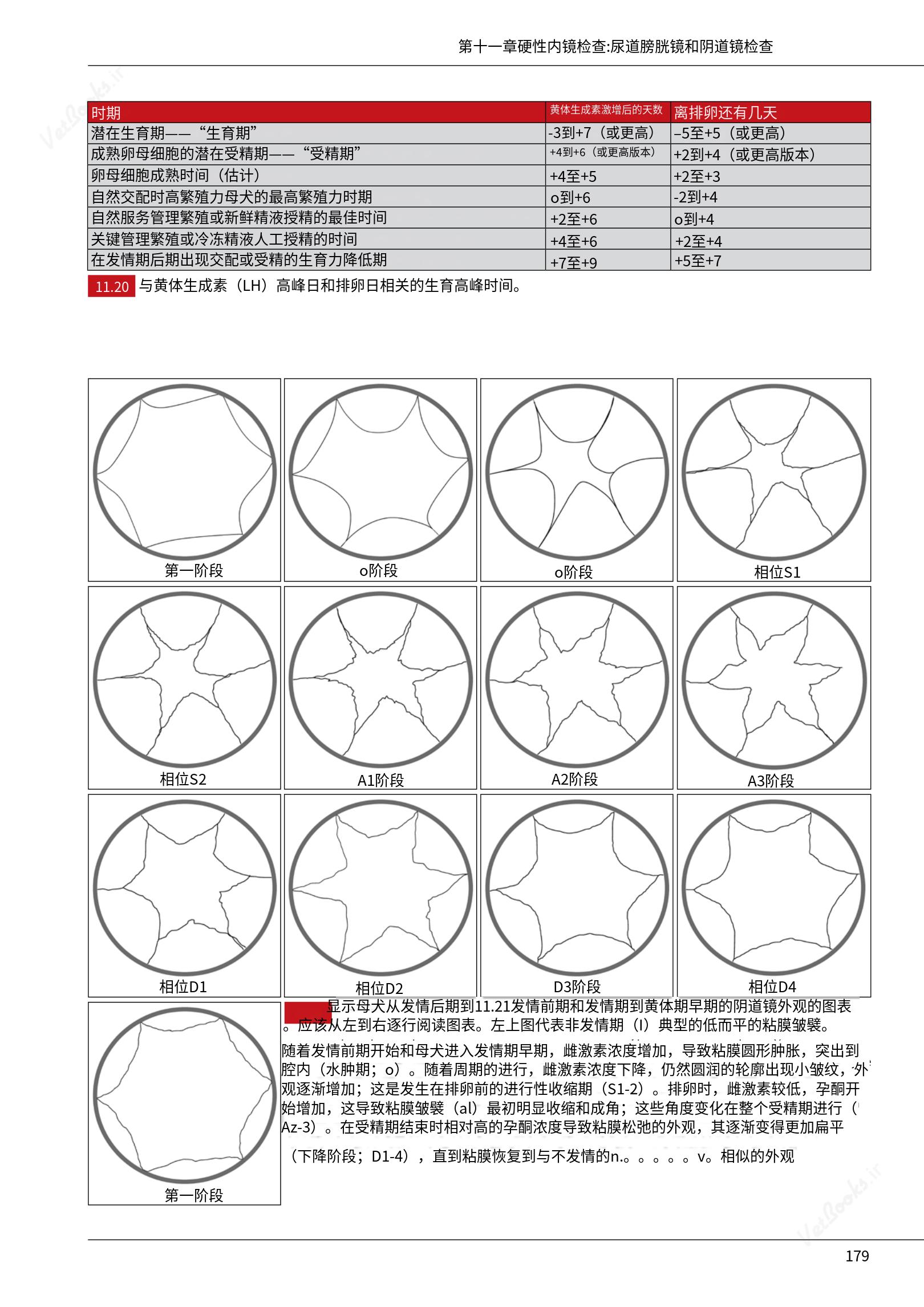 translated.39cc28bee0fb4fc48901cf3be399aa6b_185.png