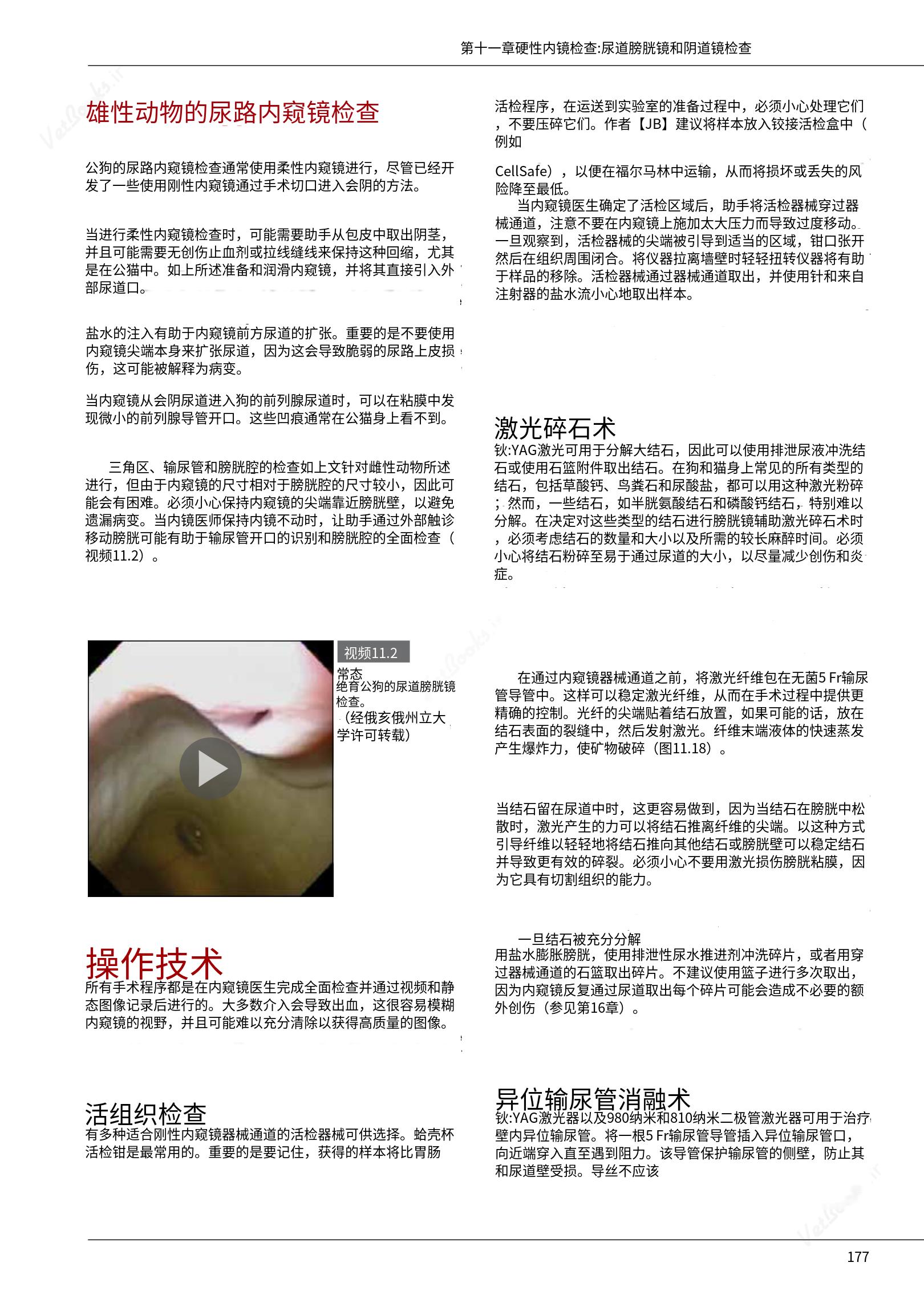 translated.39cc28bee0fb4fc48901cf3be399aa6b_183.png