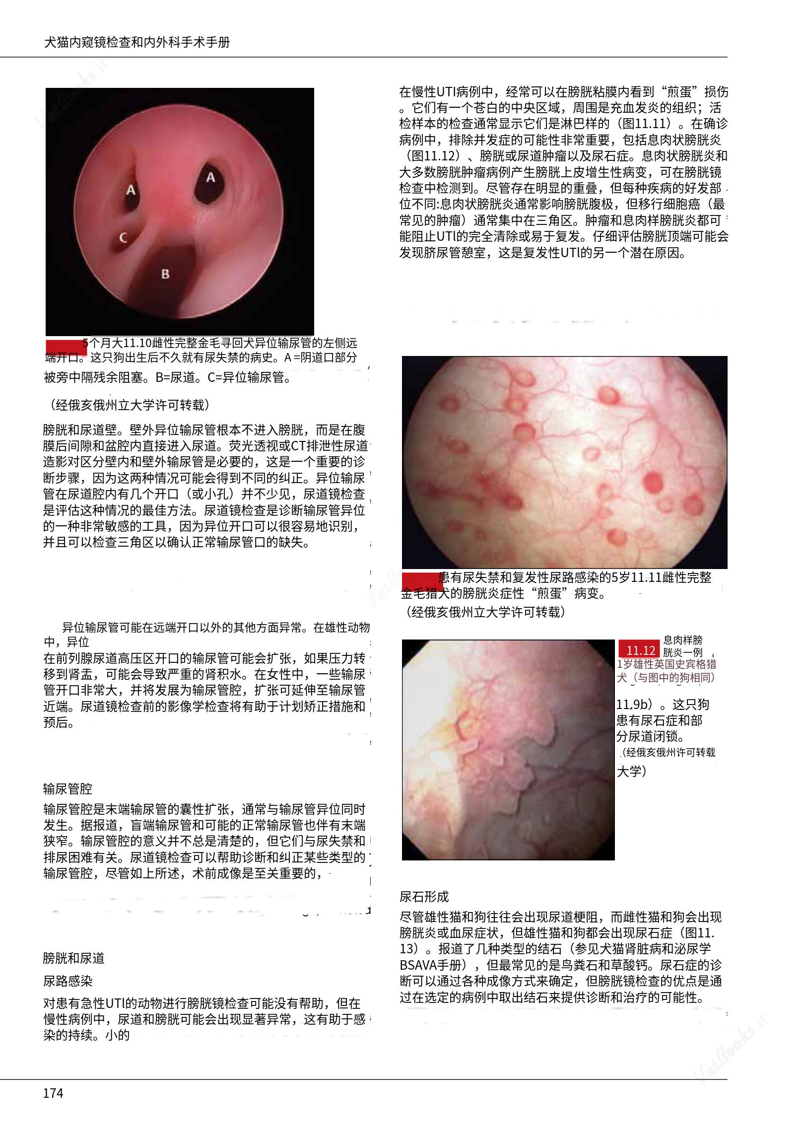 translated.39cc28bee0fb4fc48901cf3be399aa6b_180.png