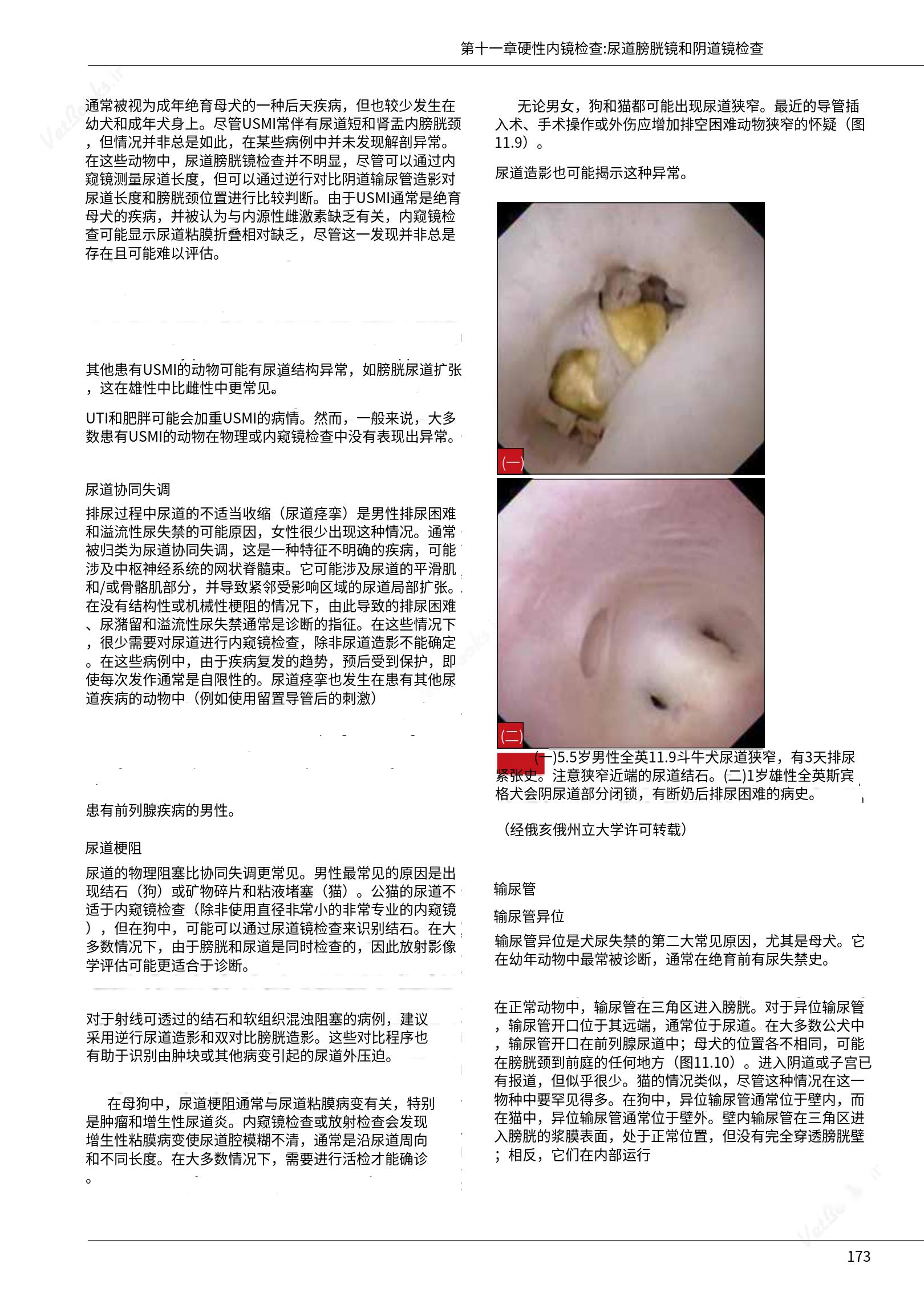 translated.39cc28bee0fb4fc48901cf3be399aa6b_179.png