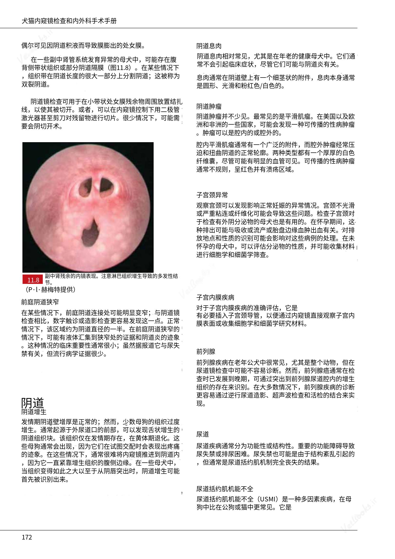 translated.39cc28bee0fb4fc48901cf3be399aa6b_178.png