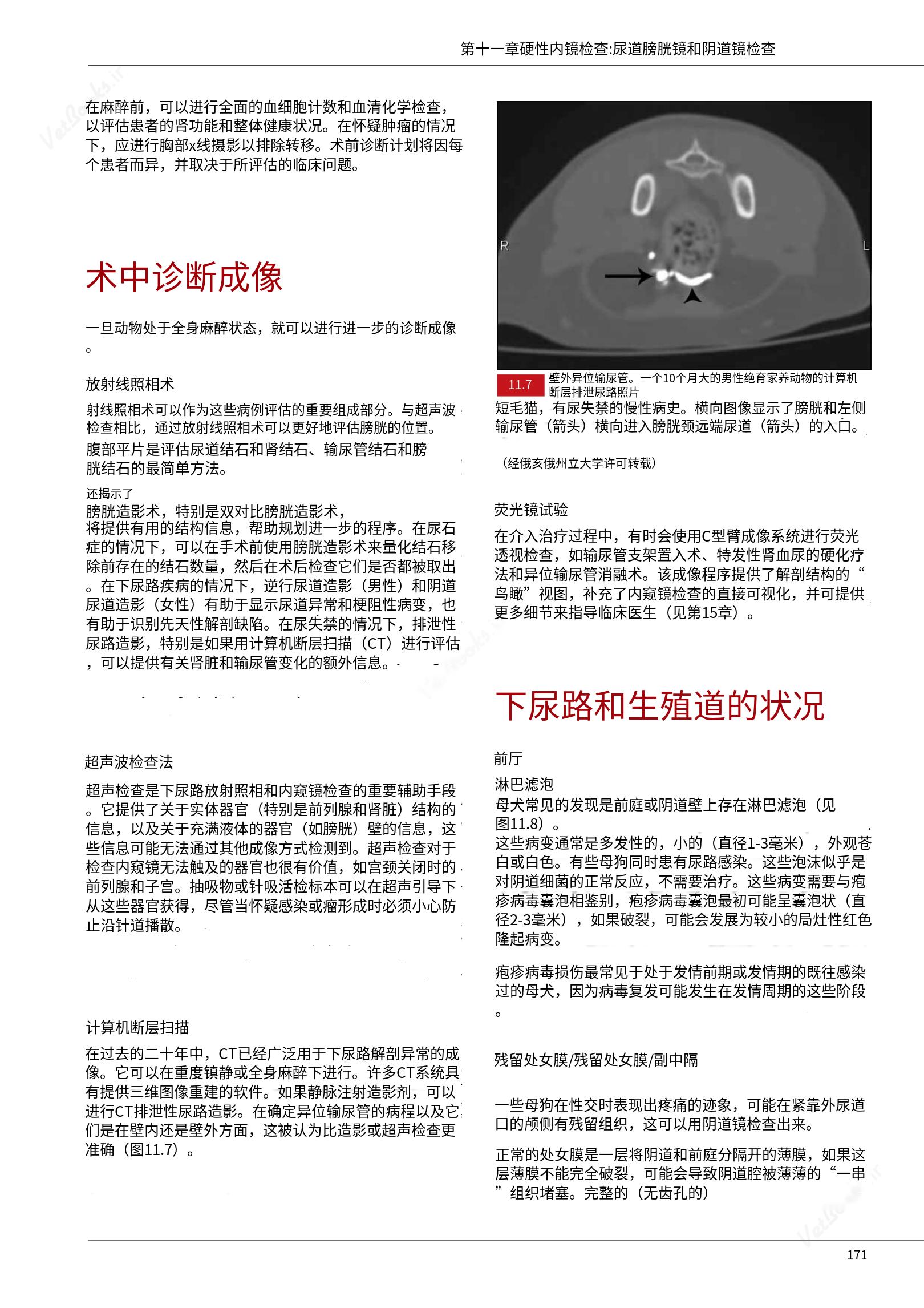 translated.39cc28bee0fb4fc48901cf3be399aa6b_177.png