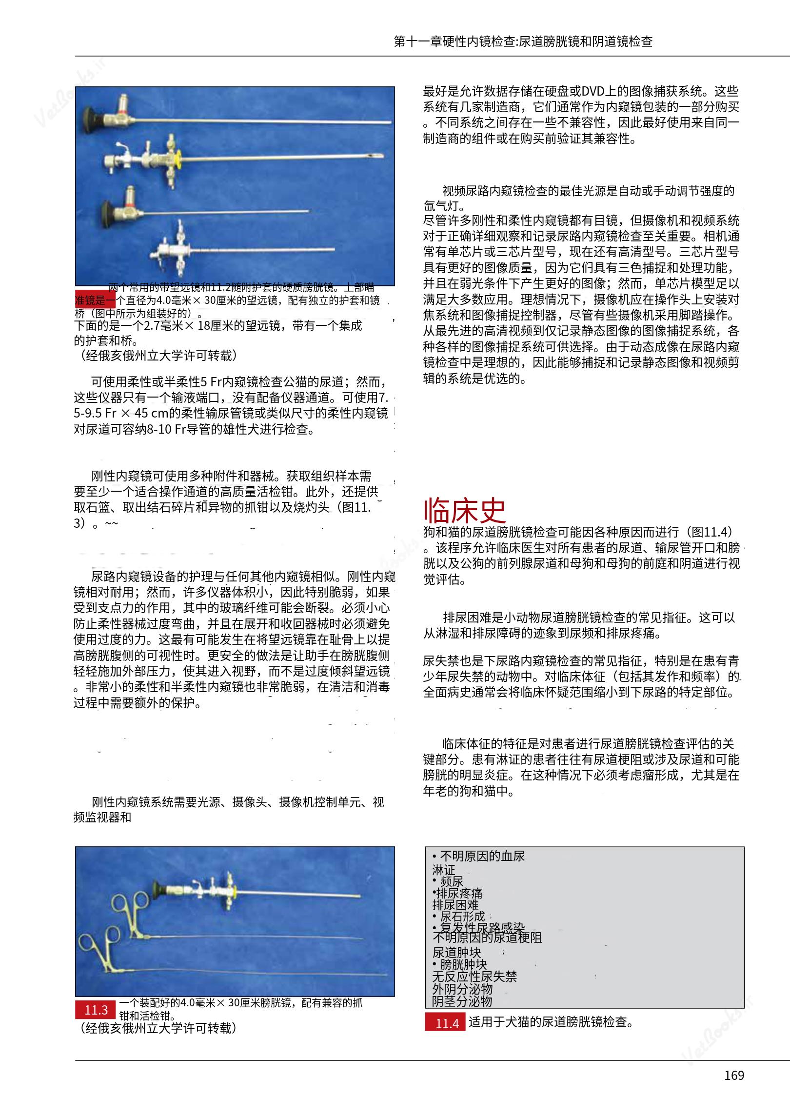 translated.39cc28bee0fb4fc48901cf3be399aa6b_175.png