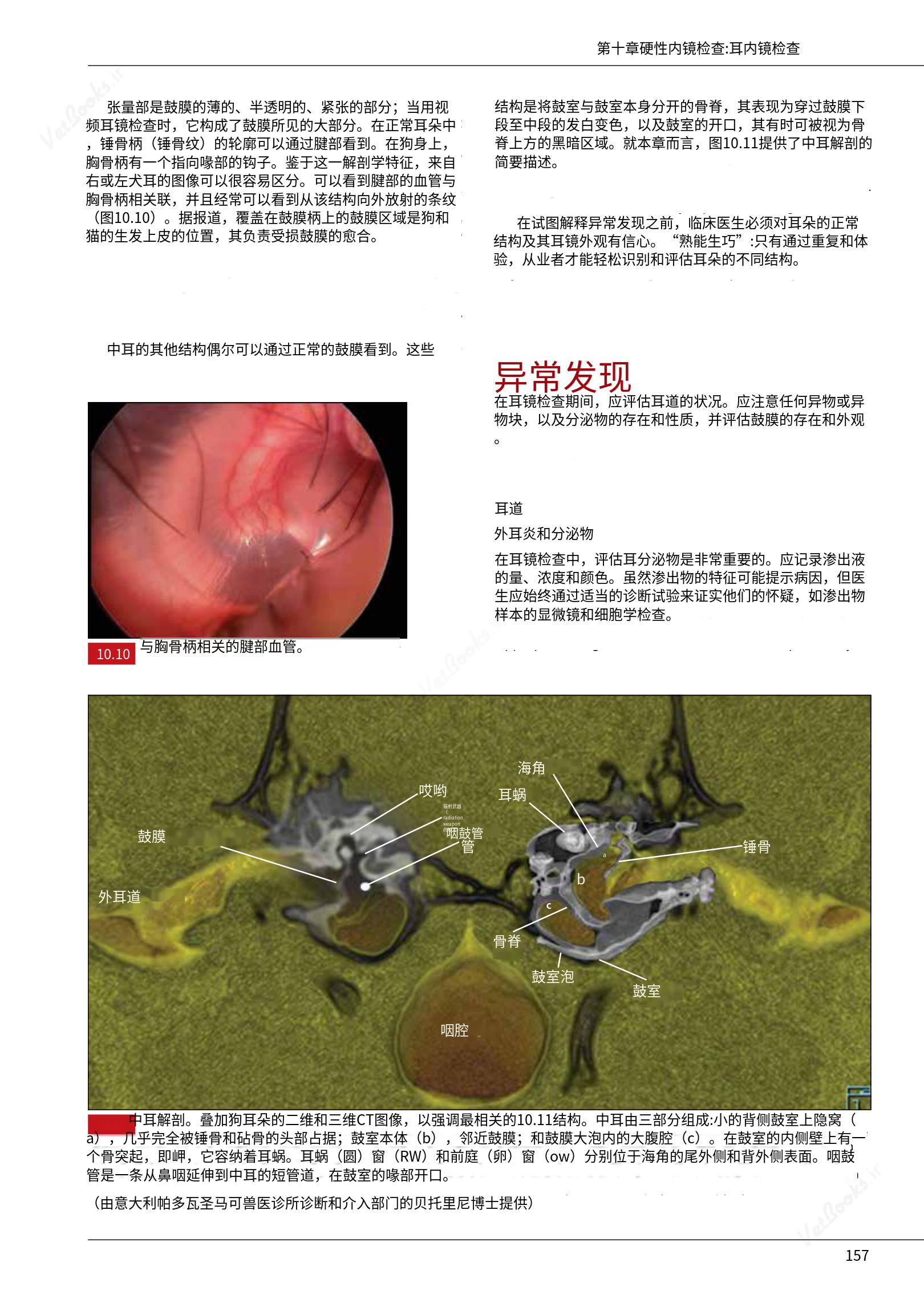 translated.39cc28bee0fb4fc48901cf3be399aa6b_163.png