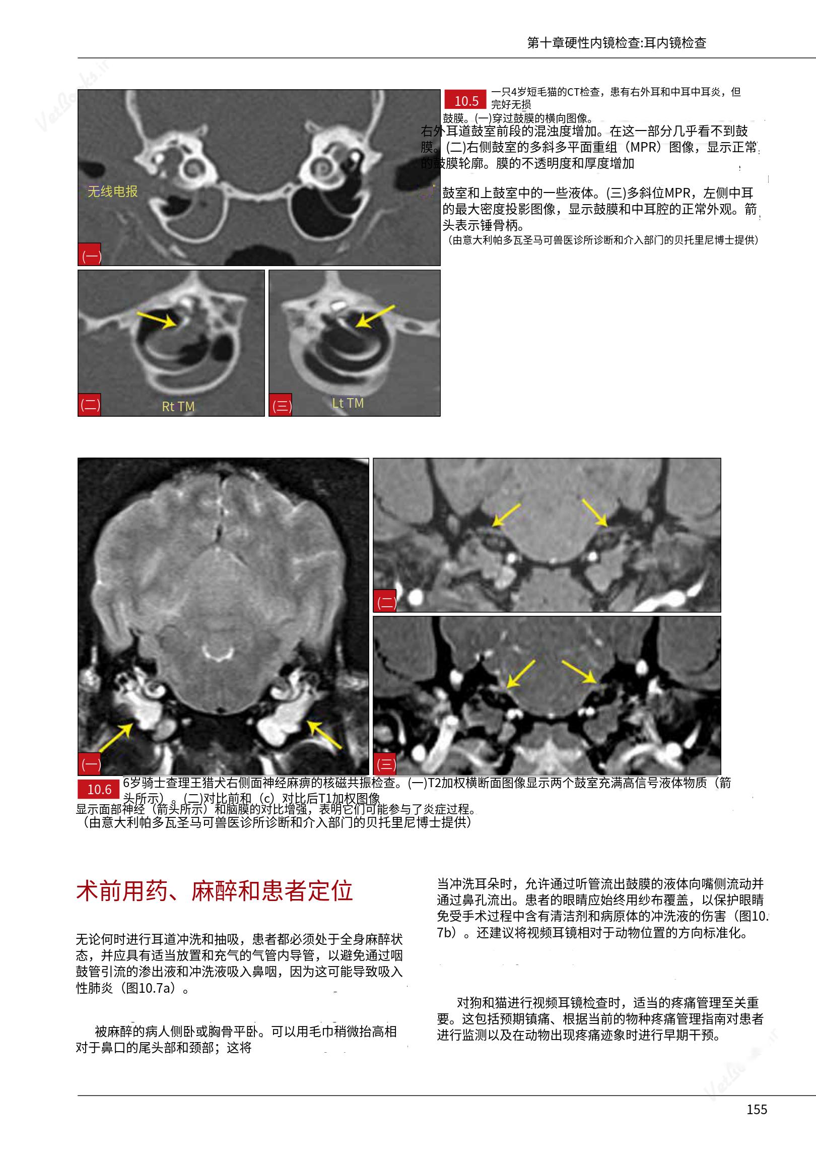 translated.39cc28bee0fb4fc48901cf3be399aa6b_161.png