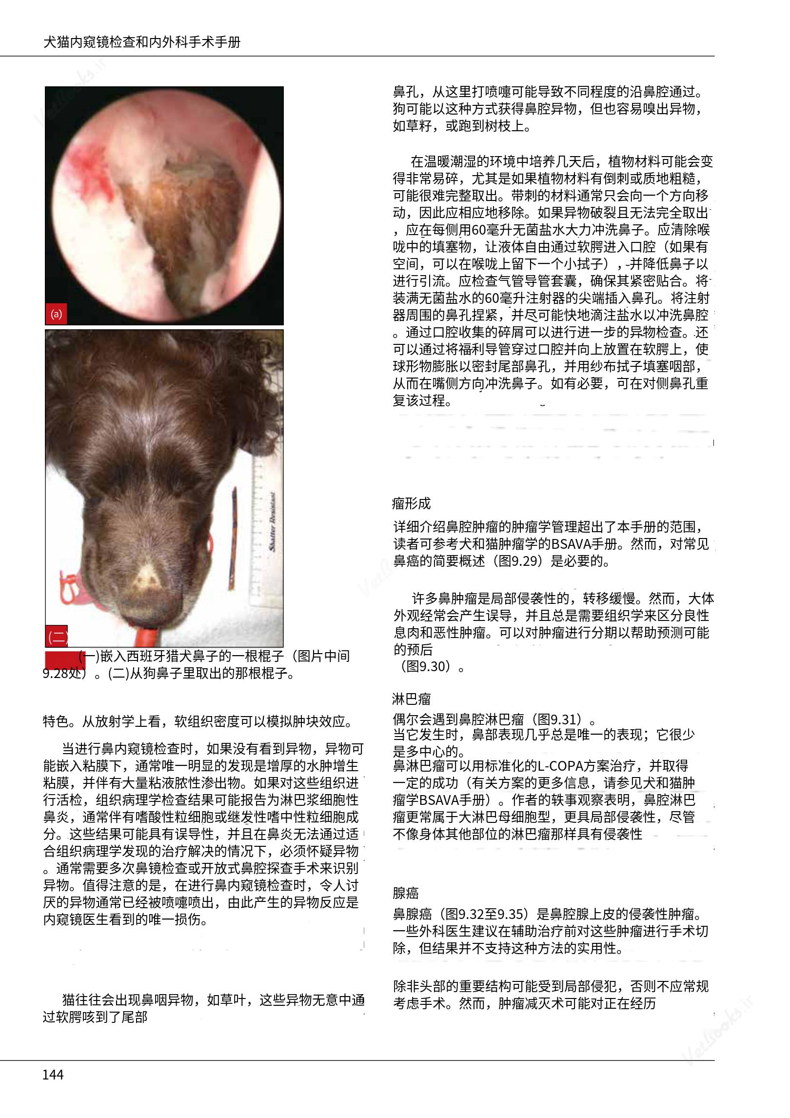 translated.39cc28bee0fb4fc48901cf3be399aa6b_150.png