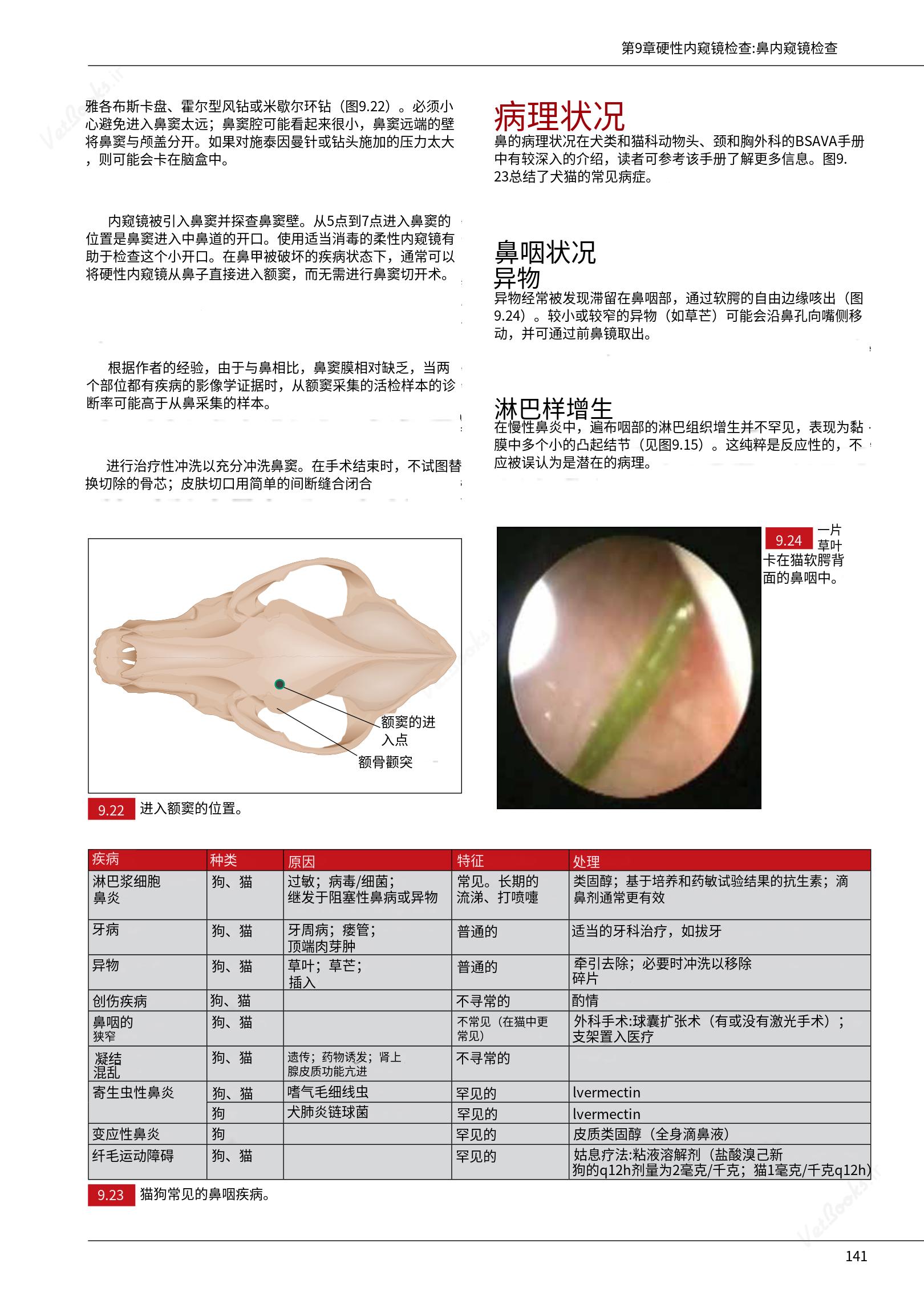translated.39cc28bee0fb4fc48901cf3be399aa6b_147.png