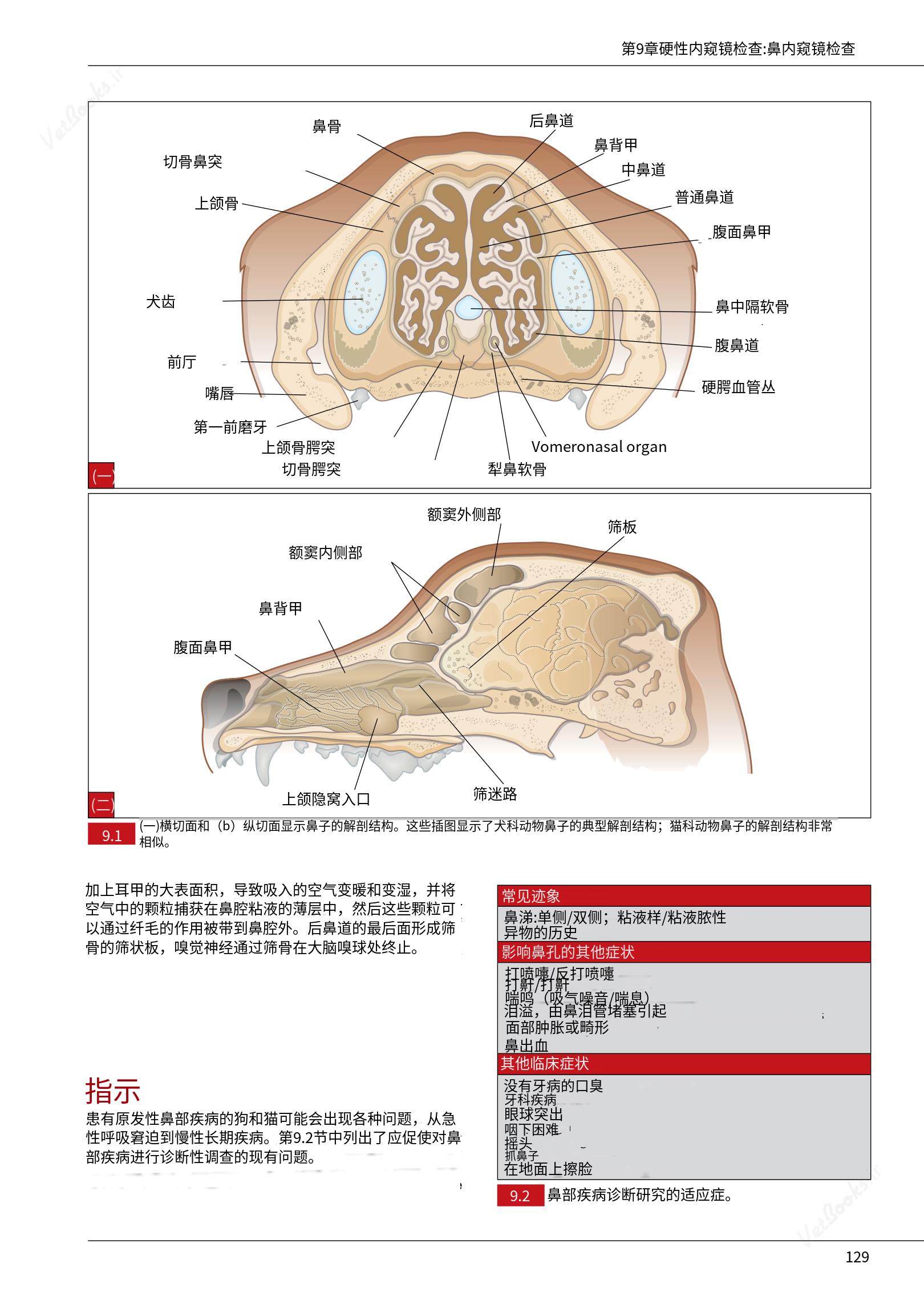 translated.39cc28bee0fb4fc48901cf3be399aa6b_135.png
