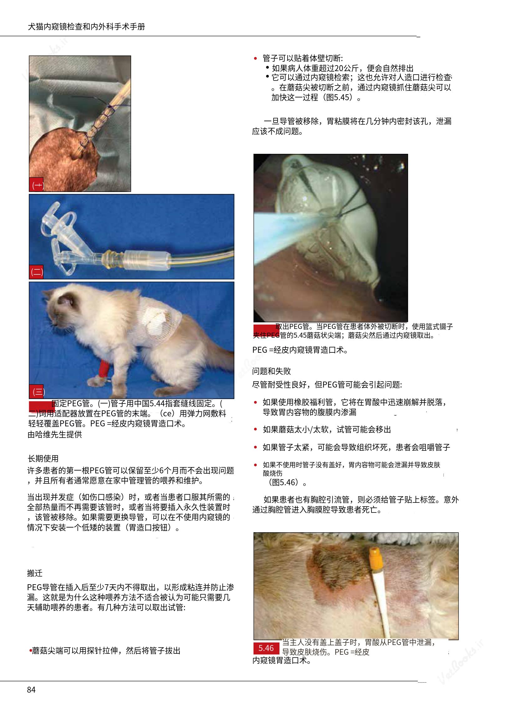 translated.39cc28bee0fb4fc48901cf3be399aa6b_90.png