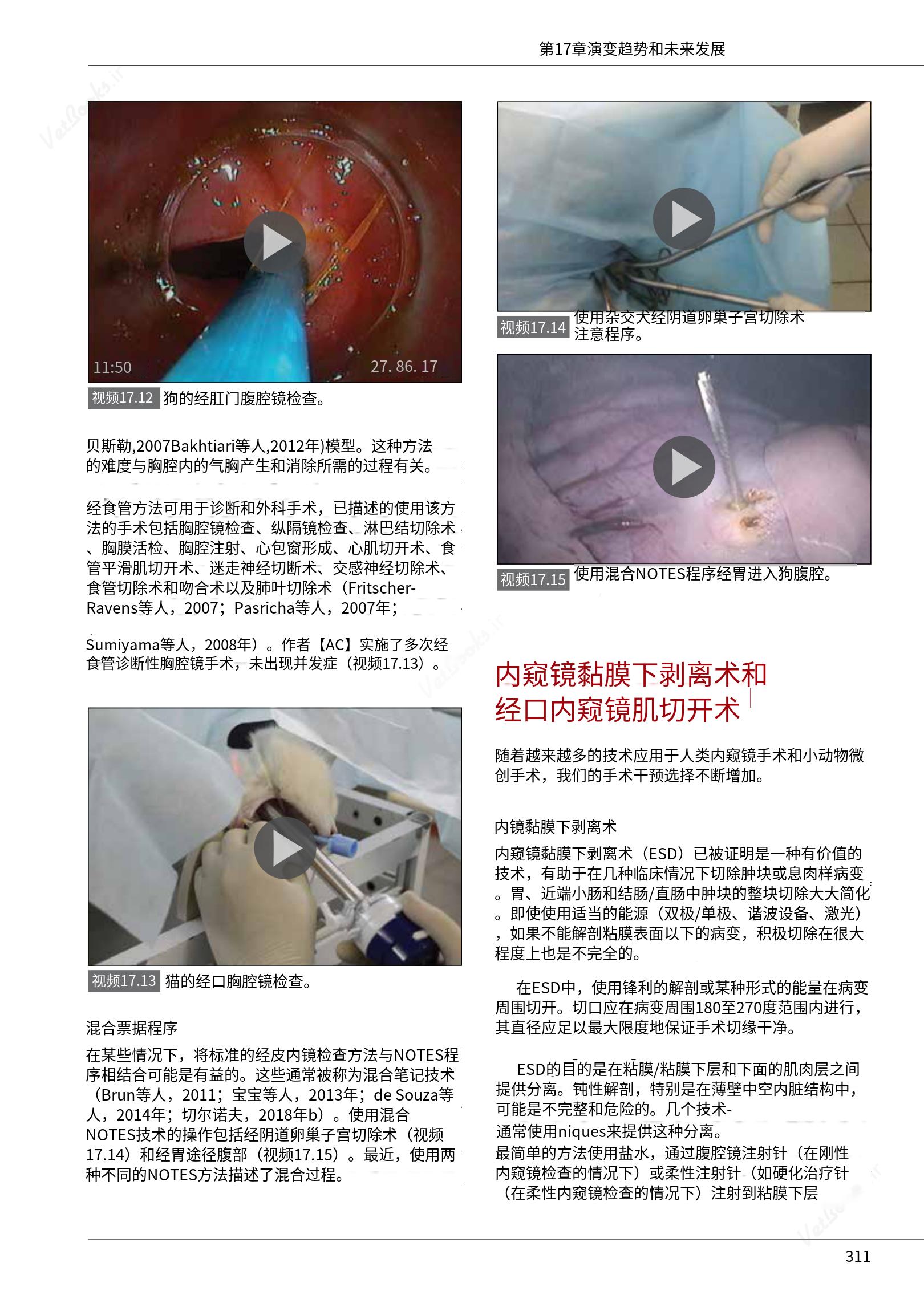 translated.c43daabf3598427ea848158cc8cae2d3_317.png