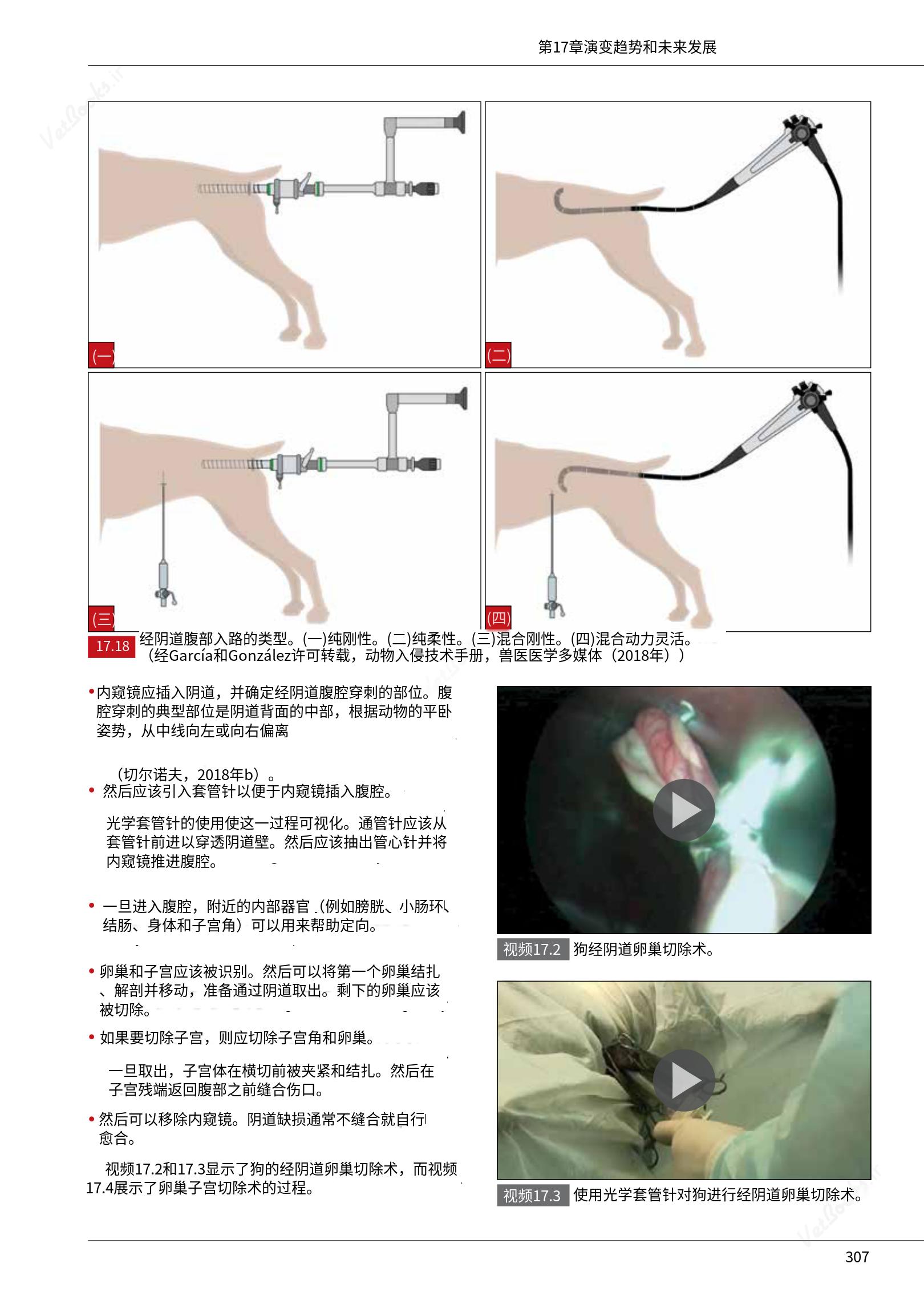 translated.c43daabf3598427ea848158cc8cae2d3_313.png