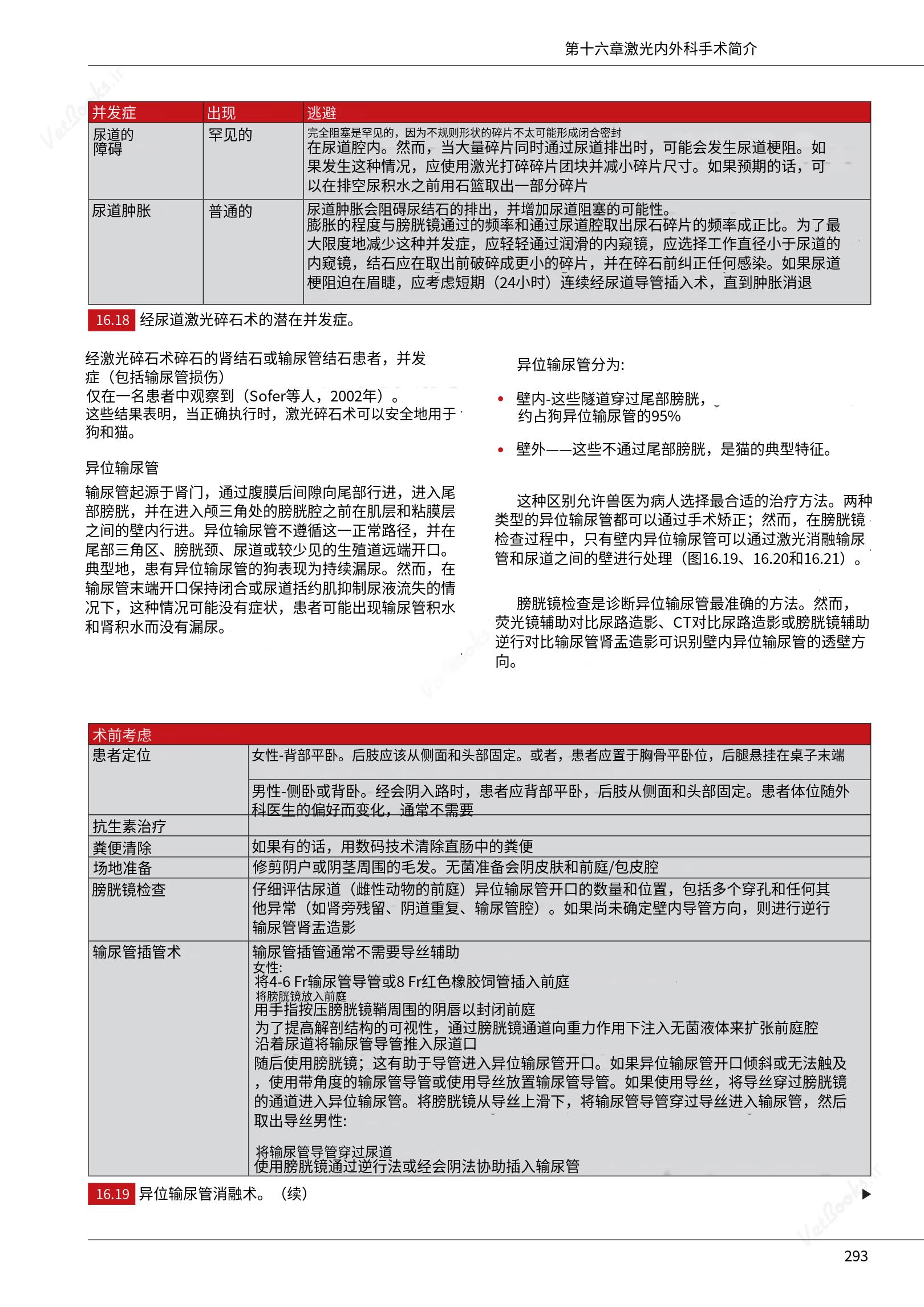 translated.c43daabf3598427ea848158cc8cae2d3_299.png