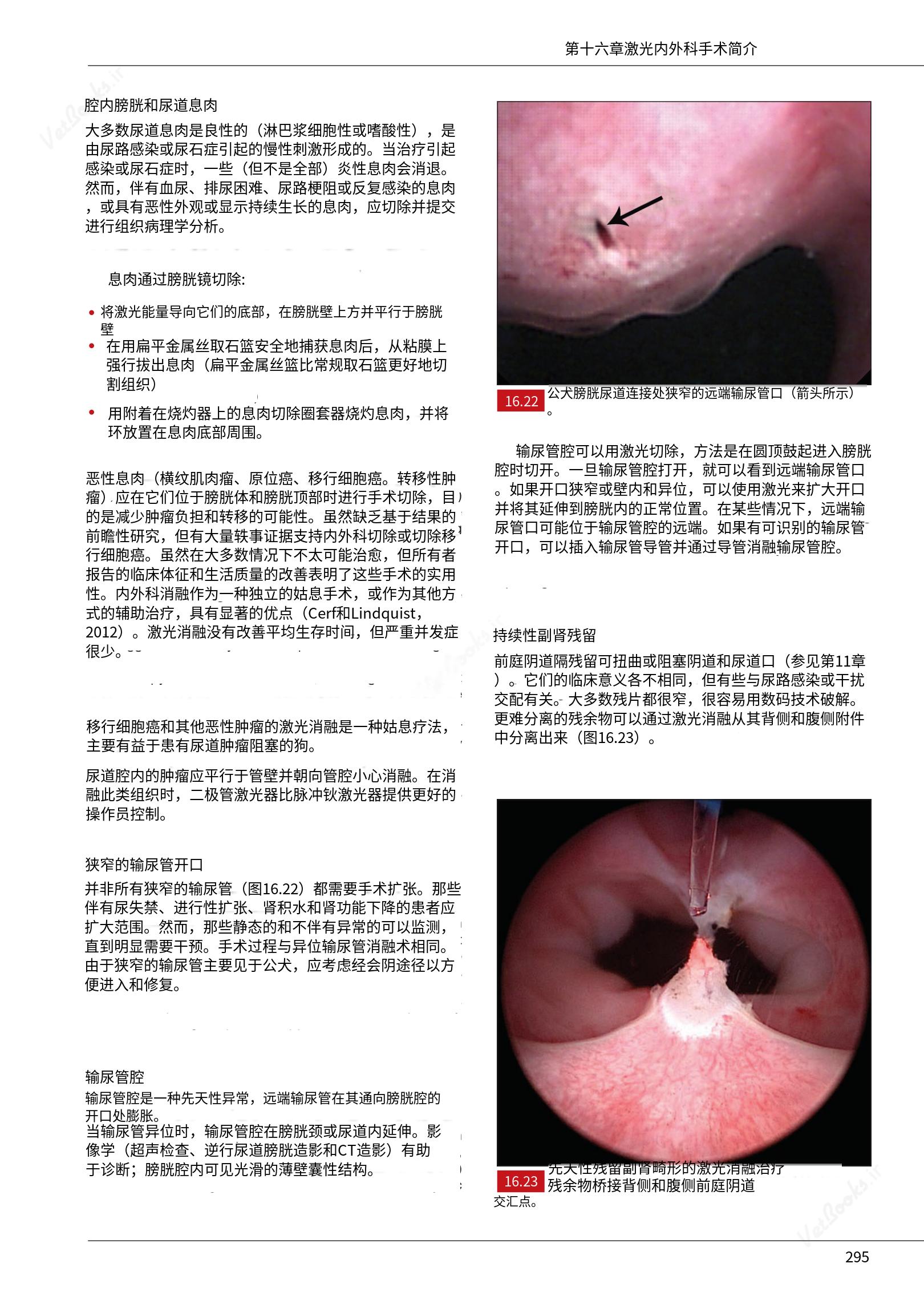 translated.c43daabf3598427ea848158cc8cae2d3_301.png