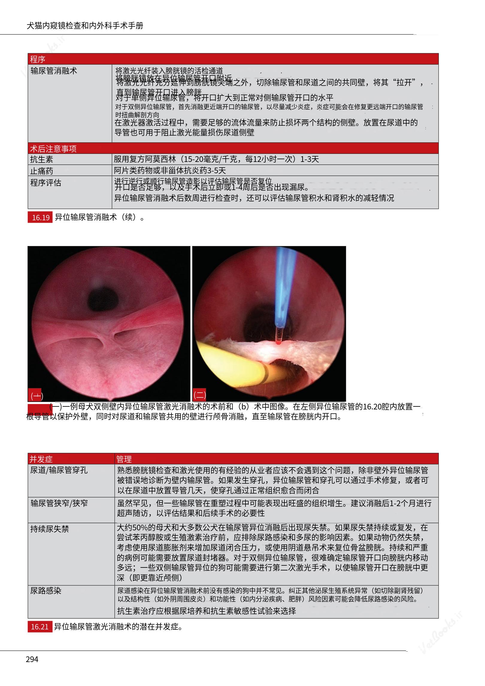 translated.c43daabf3598427ea848158cc8cae2d3_300.png