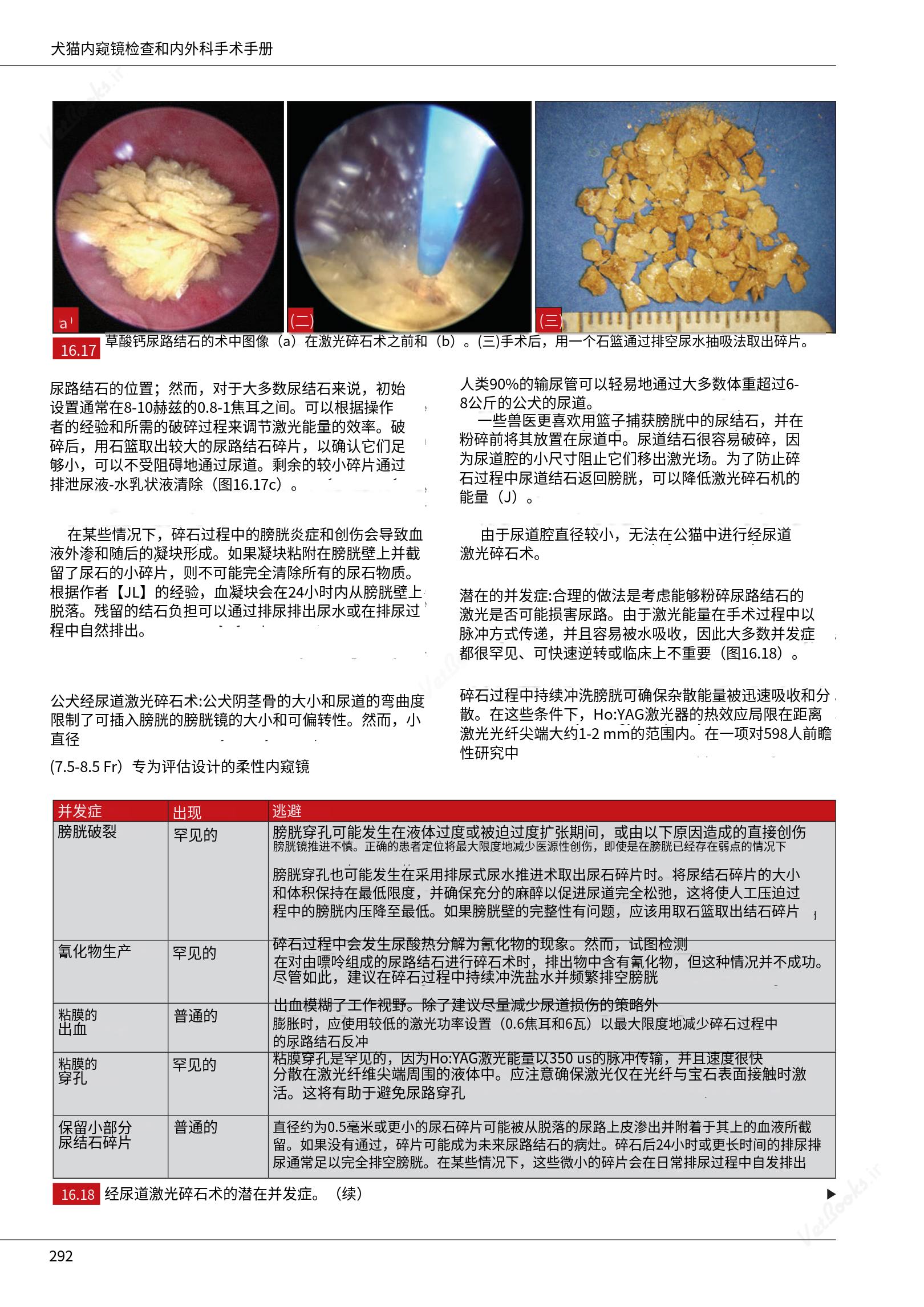 translated.c43daabf3598427ea848158cc8cae2d3_298.png
