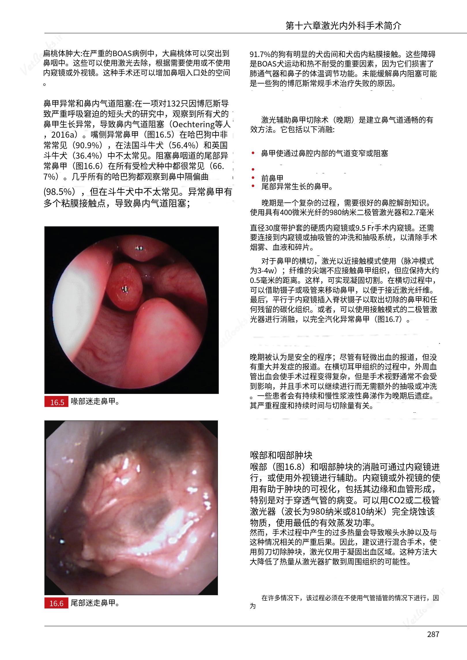 translated.c43daabf3598427ea848158cc8cae2d3_293.png