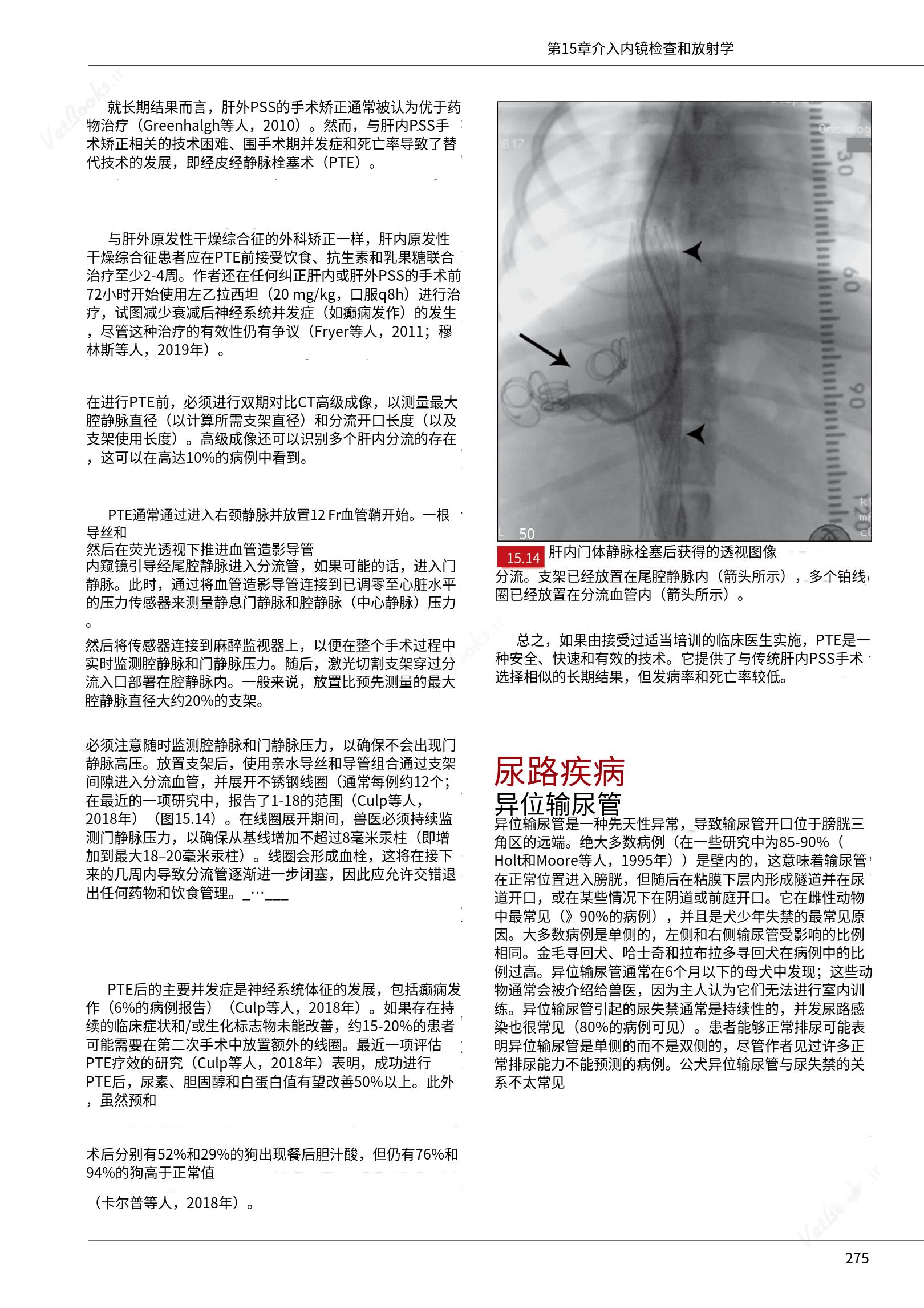 translated.c43daabf3598427ea848158cc8cae2d3_281.png
