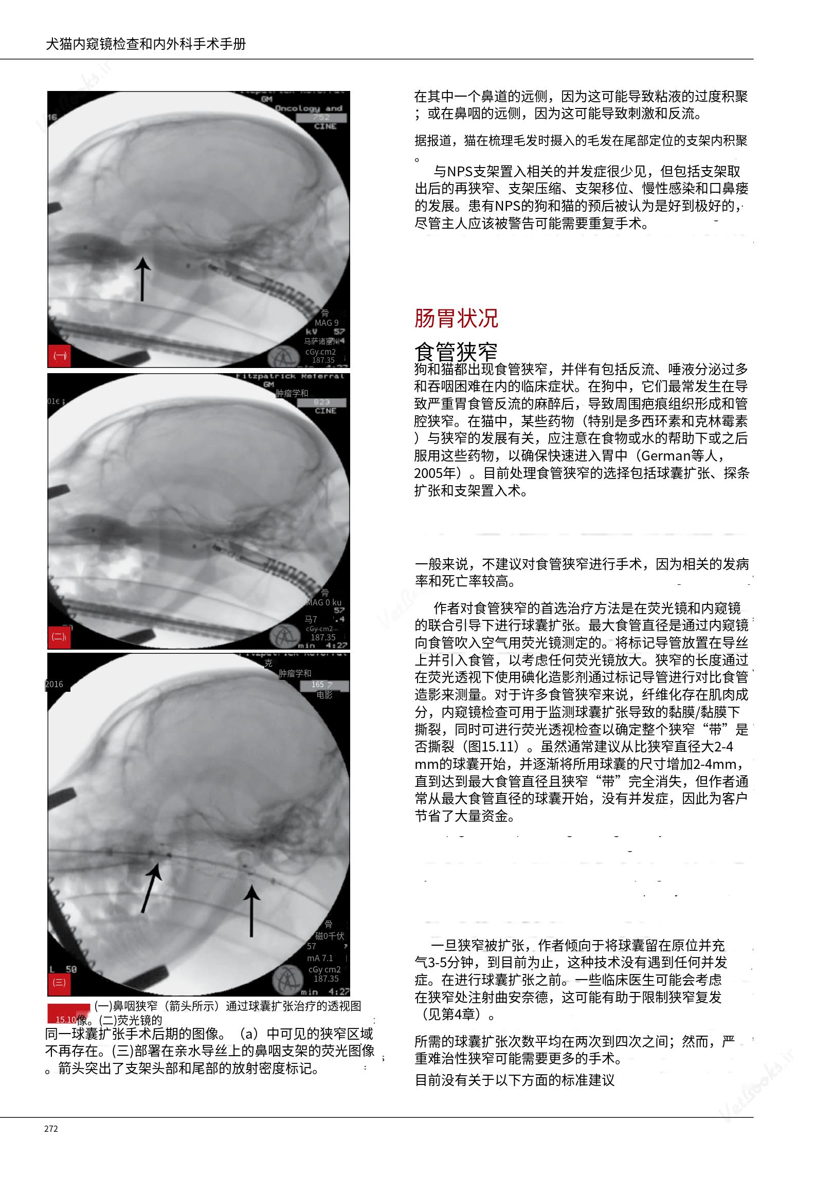 translated.c43daabf3598427ea848158cc8cae2d3_278.png