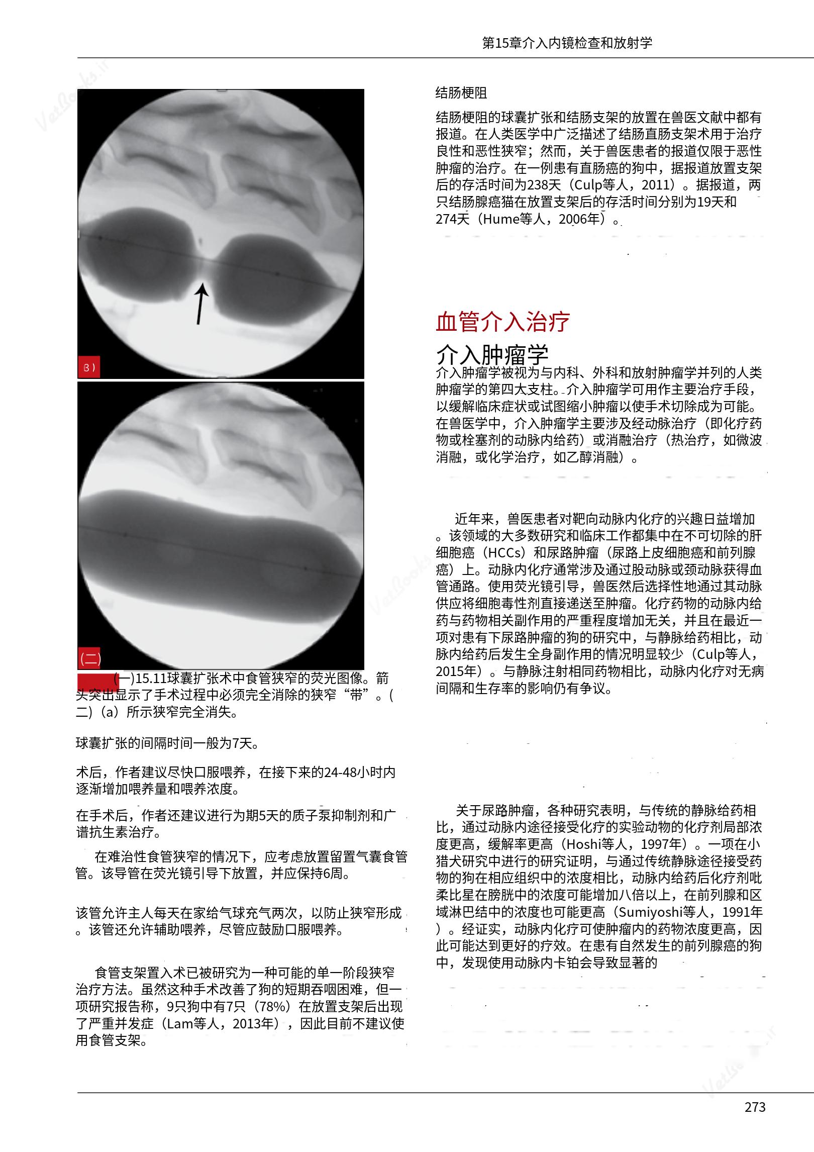 translated.c43daabf3598427ea848158cc8cae2d3_279.png