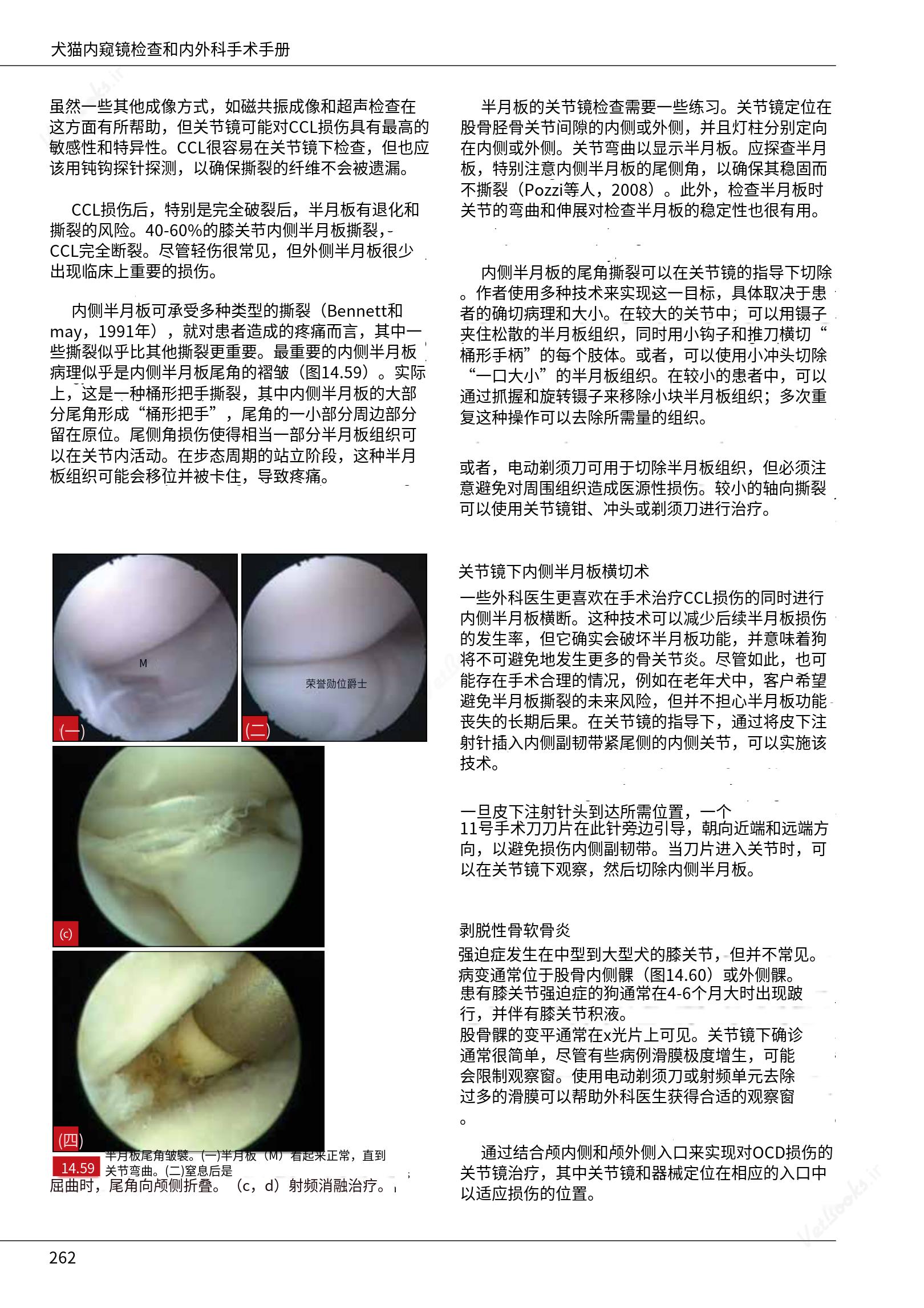 translated.c43daabf3598427ea848158cc8cae2d3_268.png