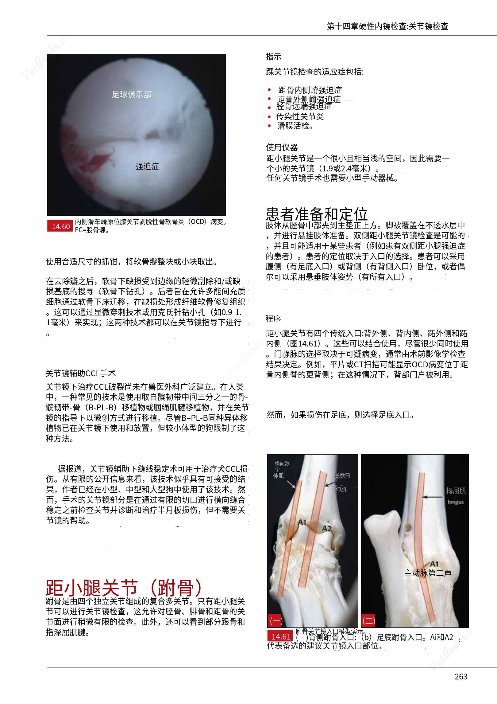 translated.c43daabf3598427ea848158cc8cae2d3_269.png