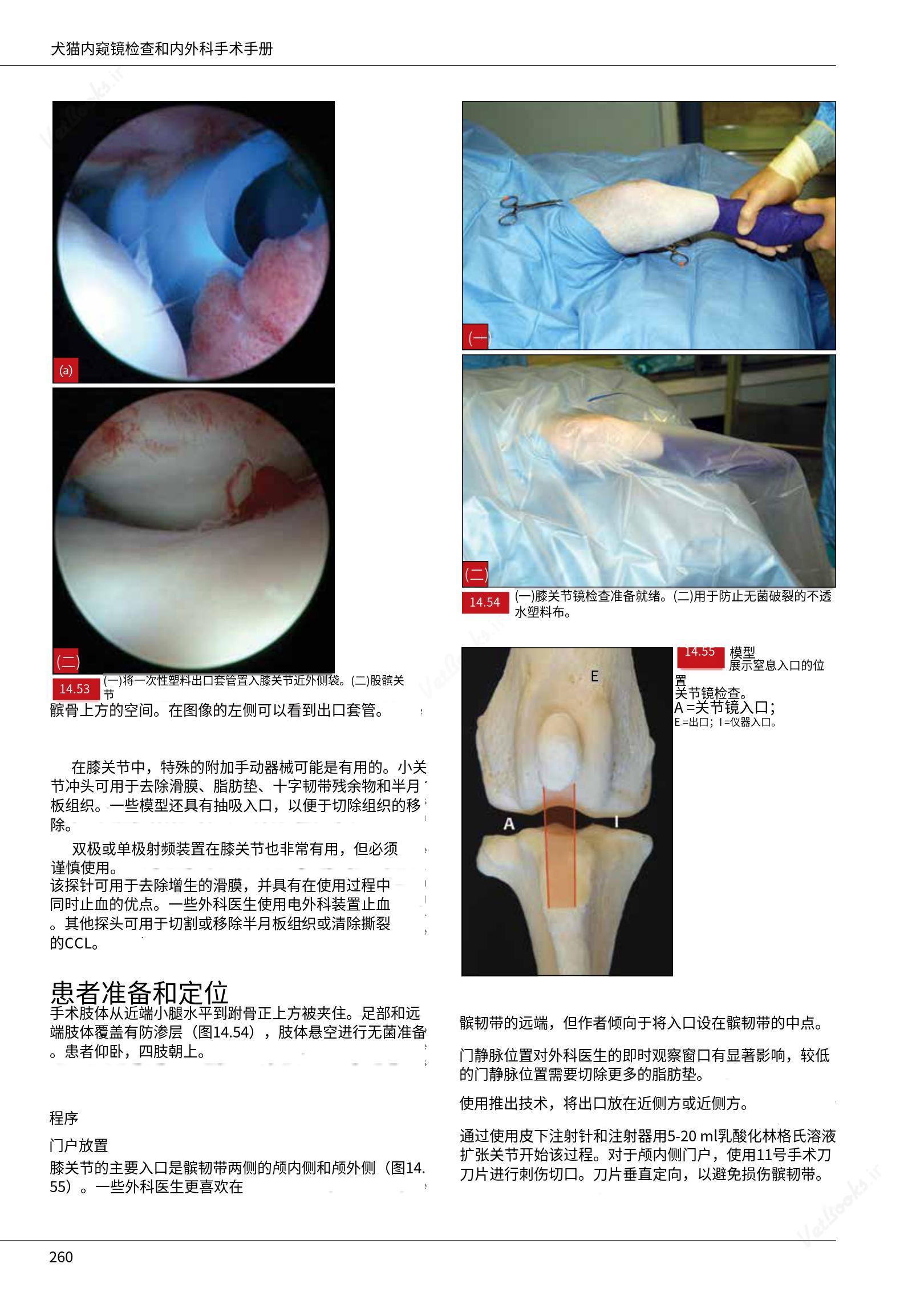 translated.c43daabf3598427ea848158cc8cae2d3_266.png