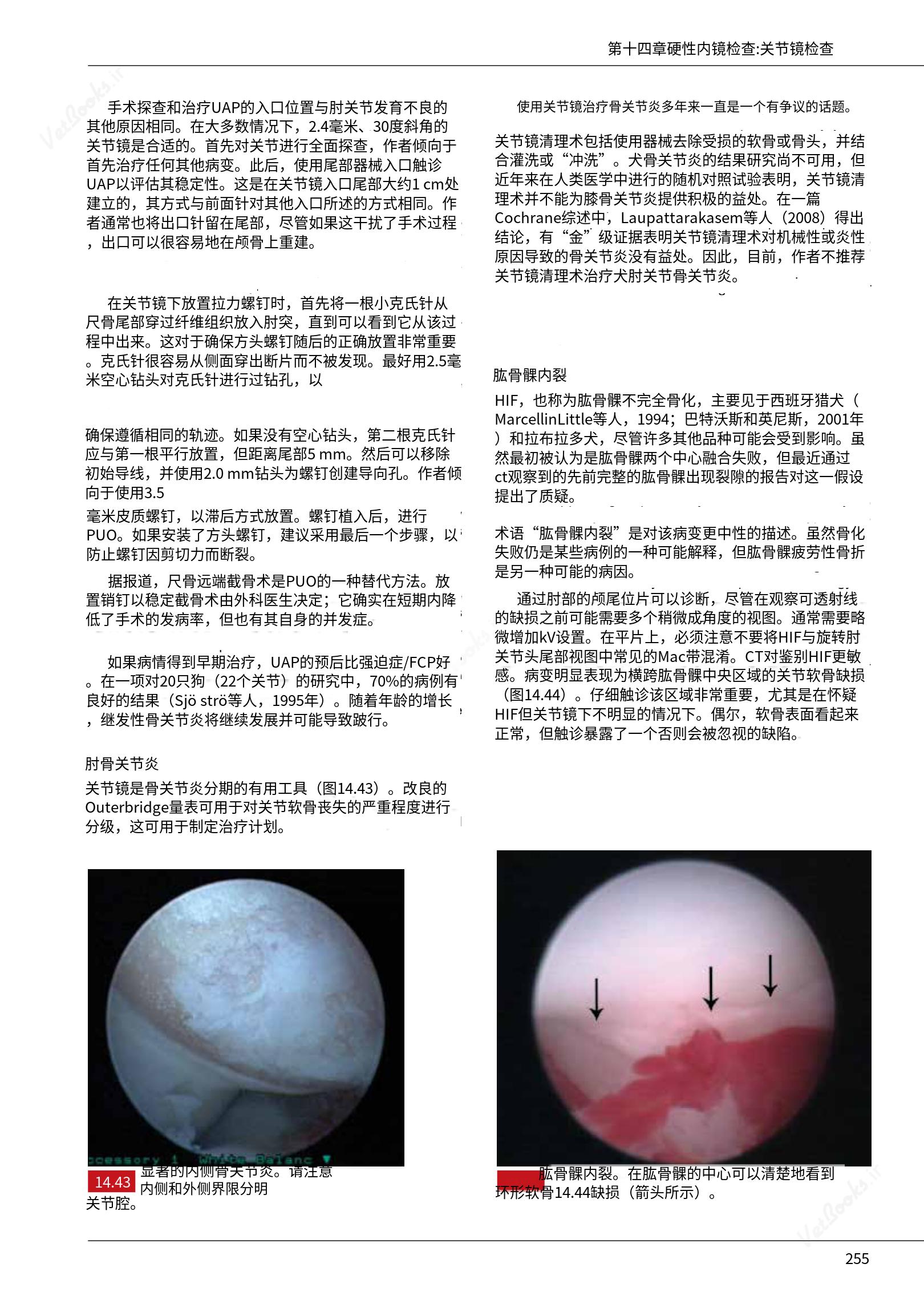 translated.c43daabf3598427ea848158cc8cae2d3_261.png