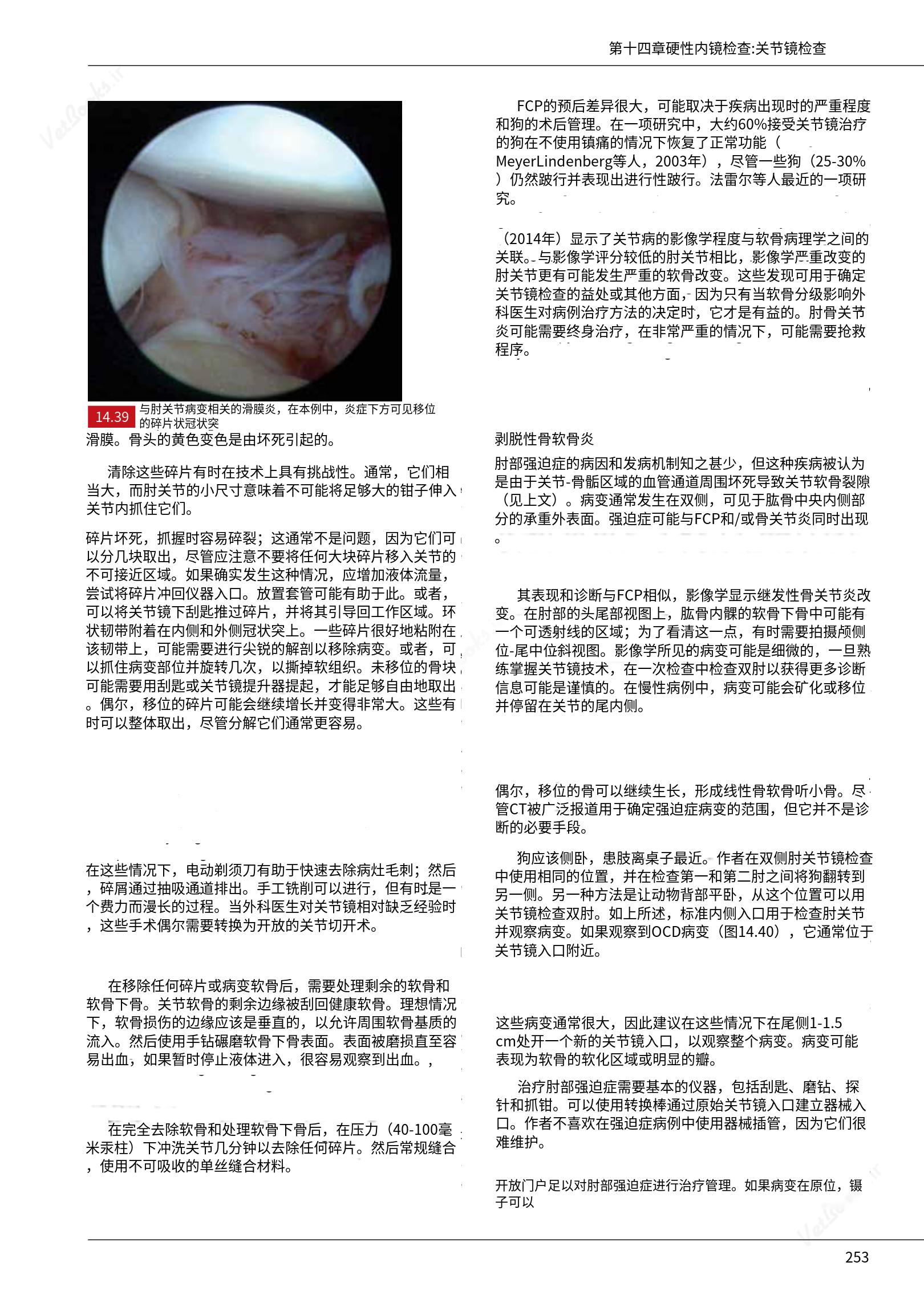 translated.c43daabf3598427ea848158cc8cae2d3_259.png