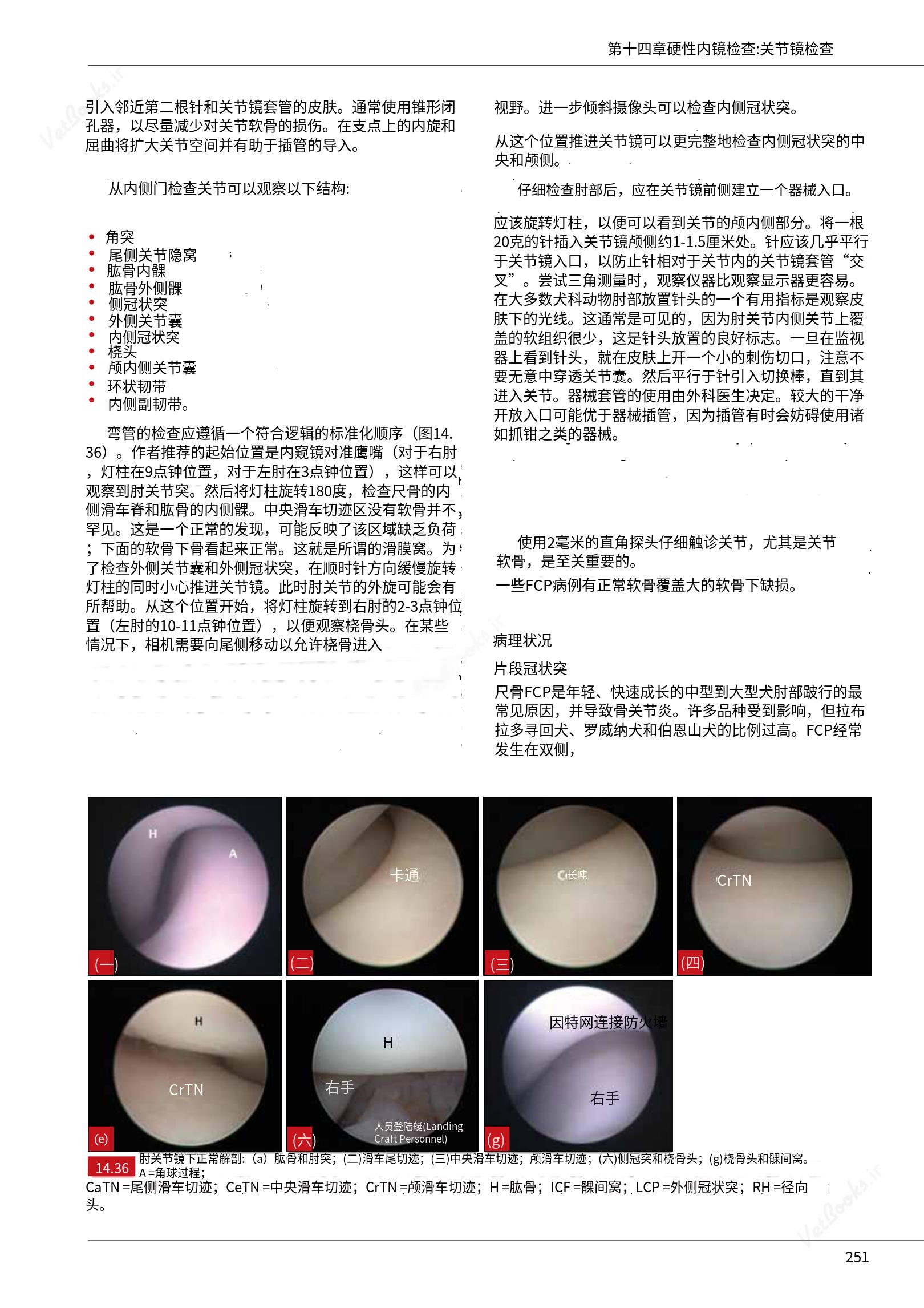 translated.c43daabf3598427ea848158cc8cae2d3_257.png
