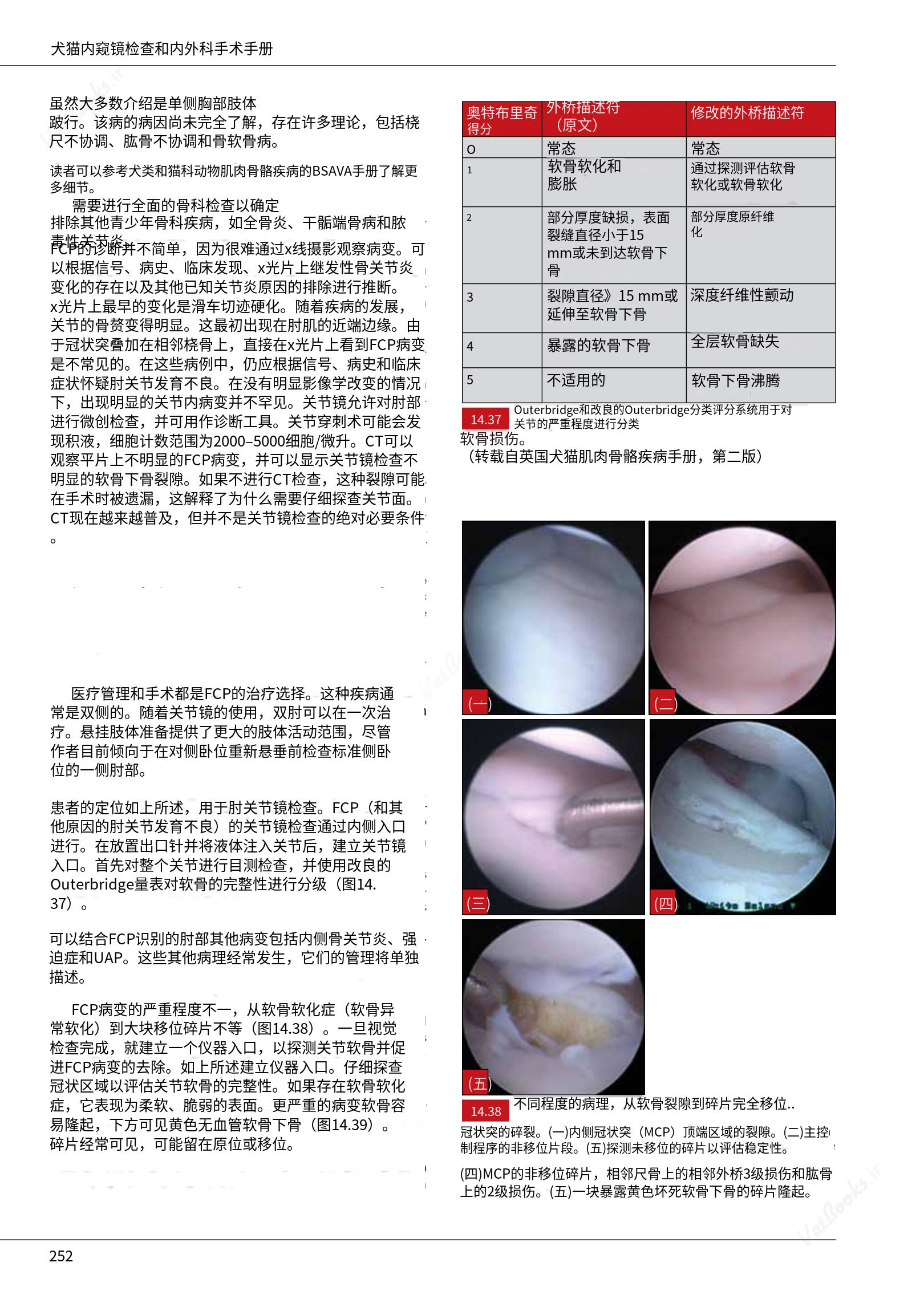 translated.c43daabf3598427ea848158cc8cae2d3_258.png