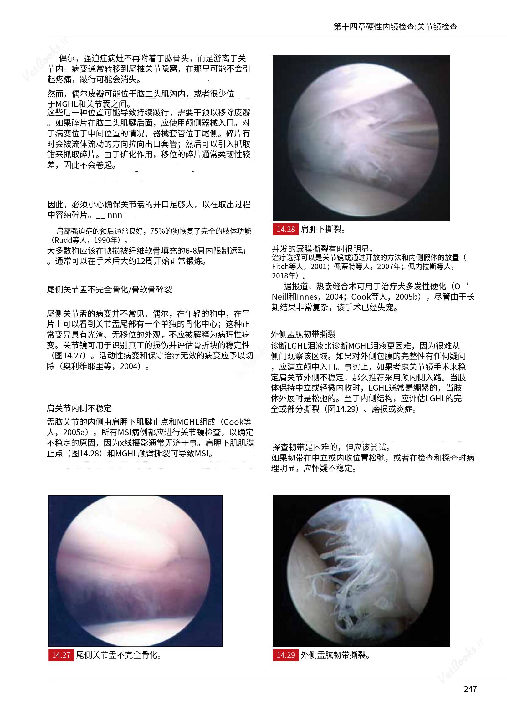translated.c43daabf3598427ea848158cc8cae2d3_253.png