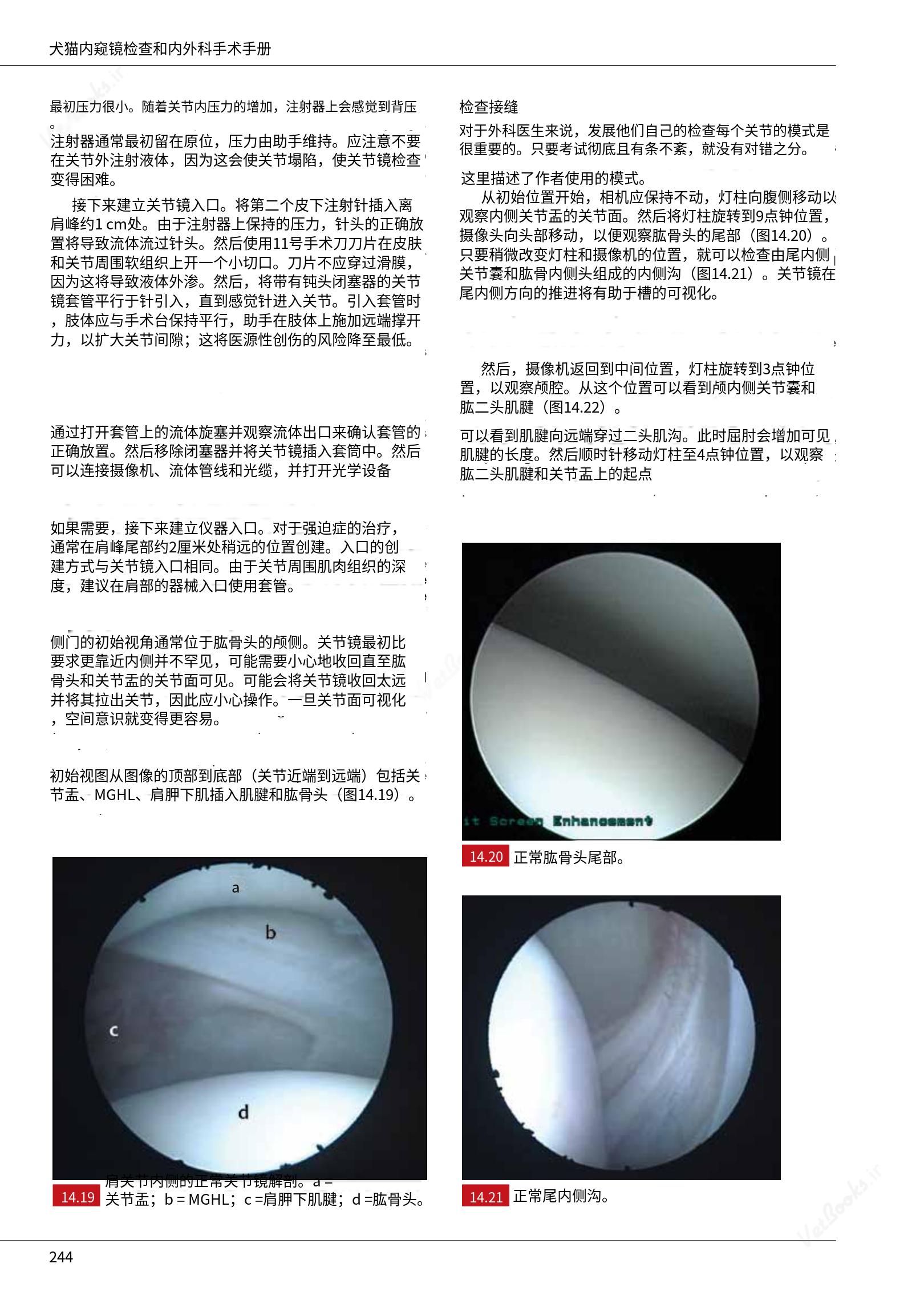 translated.c43daabf3598427ea848158cc8cae2d3_250.png